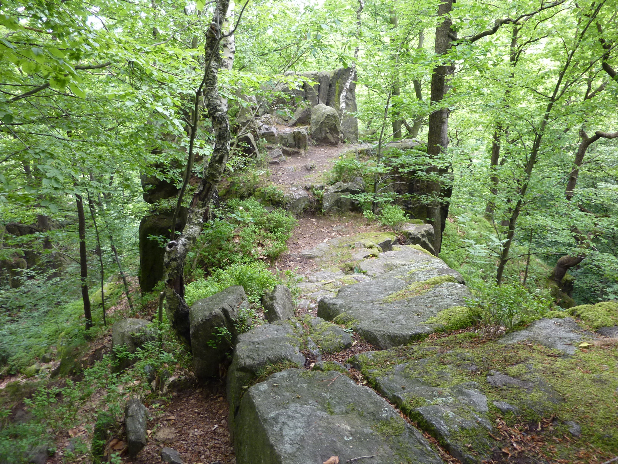 Teufelskanzel auf der Somsdorfer Klamm – Motiv