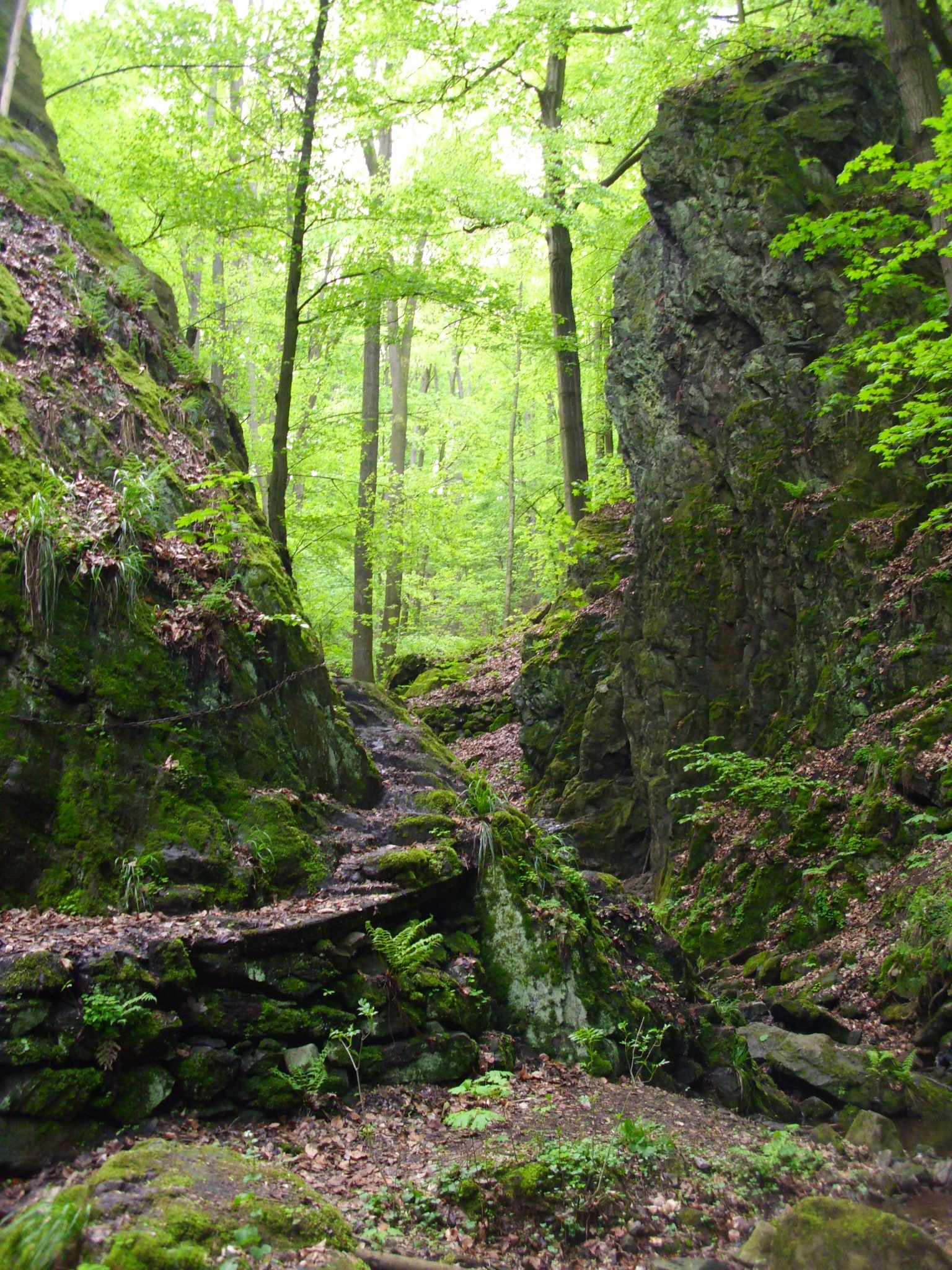 Von Tharandt zur Somsdorfer Klamm – Motiv