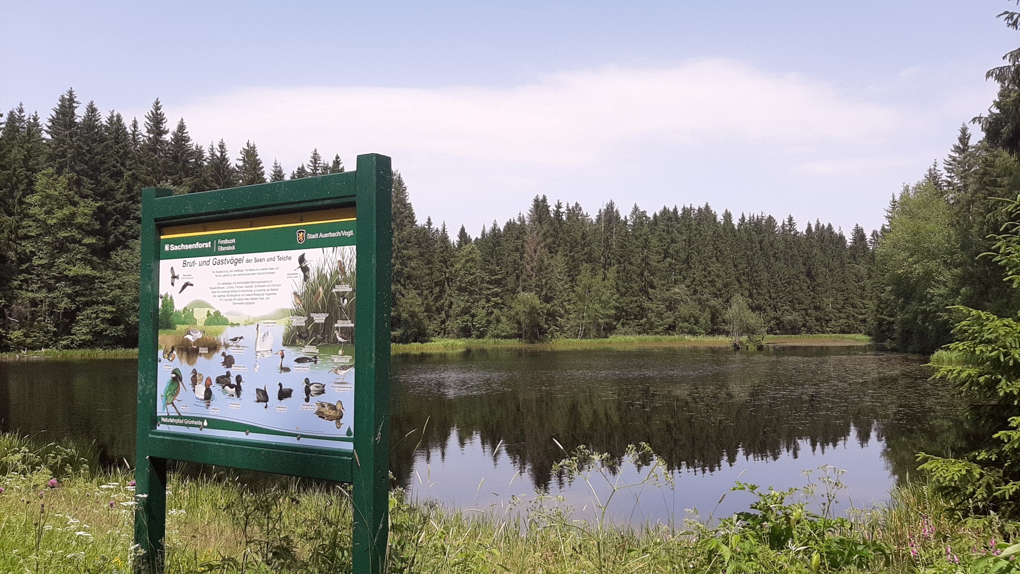 Vom Eulenberg nach Rautenkranz – Route 6 Vogelsgrün – Motiv
