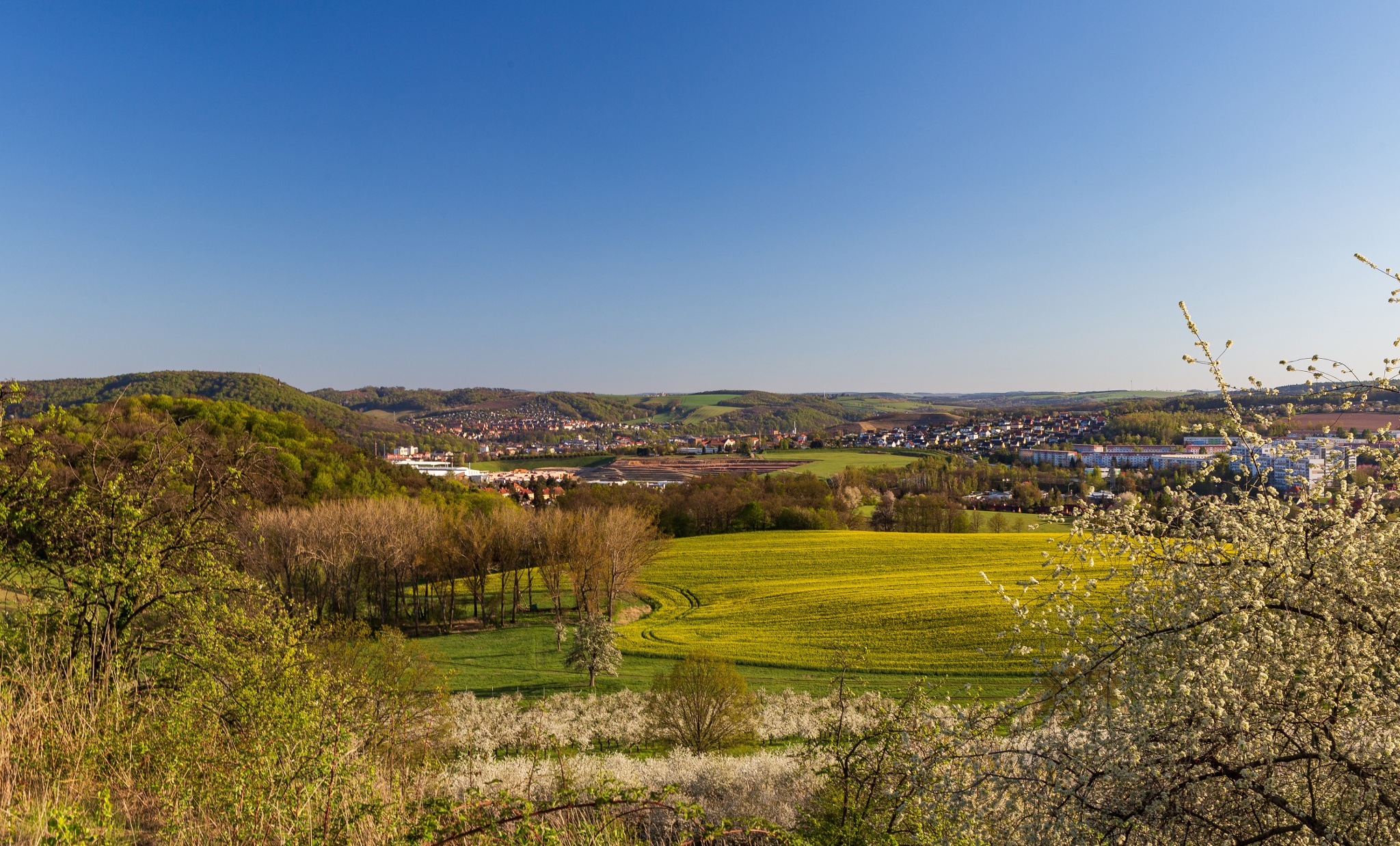 Über die Pesterwitzer und Wurgwitzer Höhen – Motiv