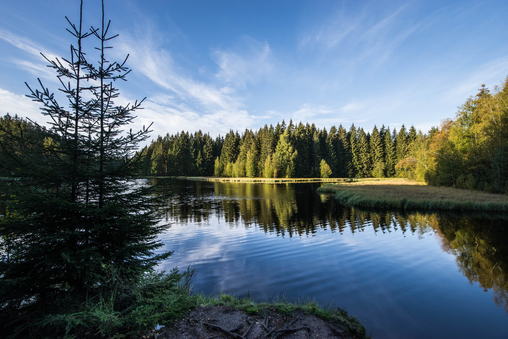Barrierefreier Wanderweg am Vogtlandsee – Motiv