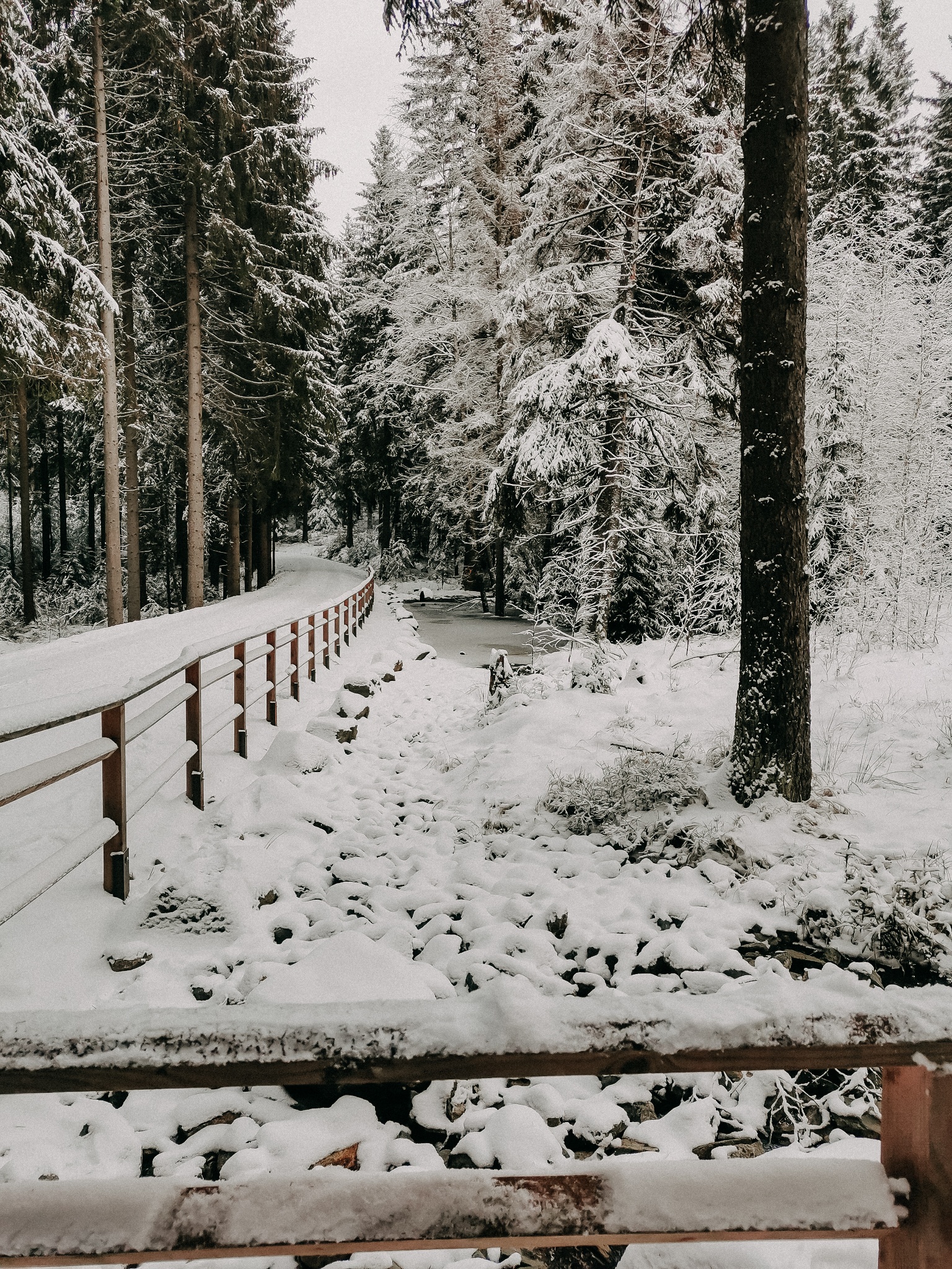 Winterwanderung Grünheide – kleine Runde 2 – Motiv