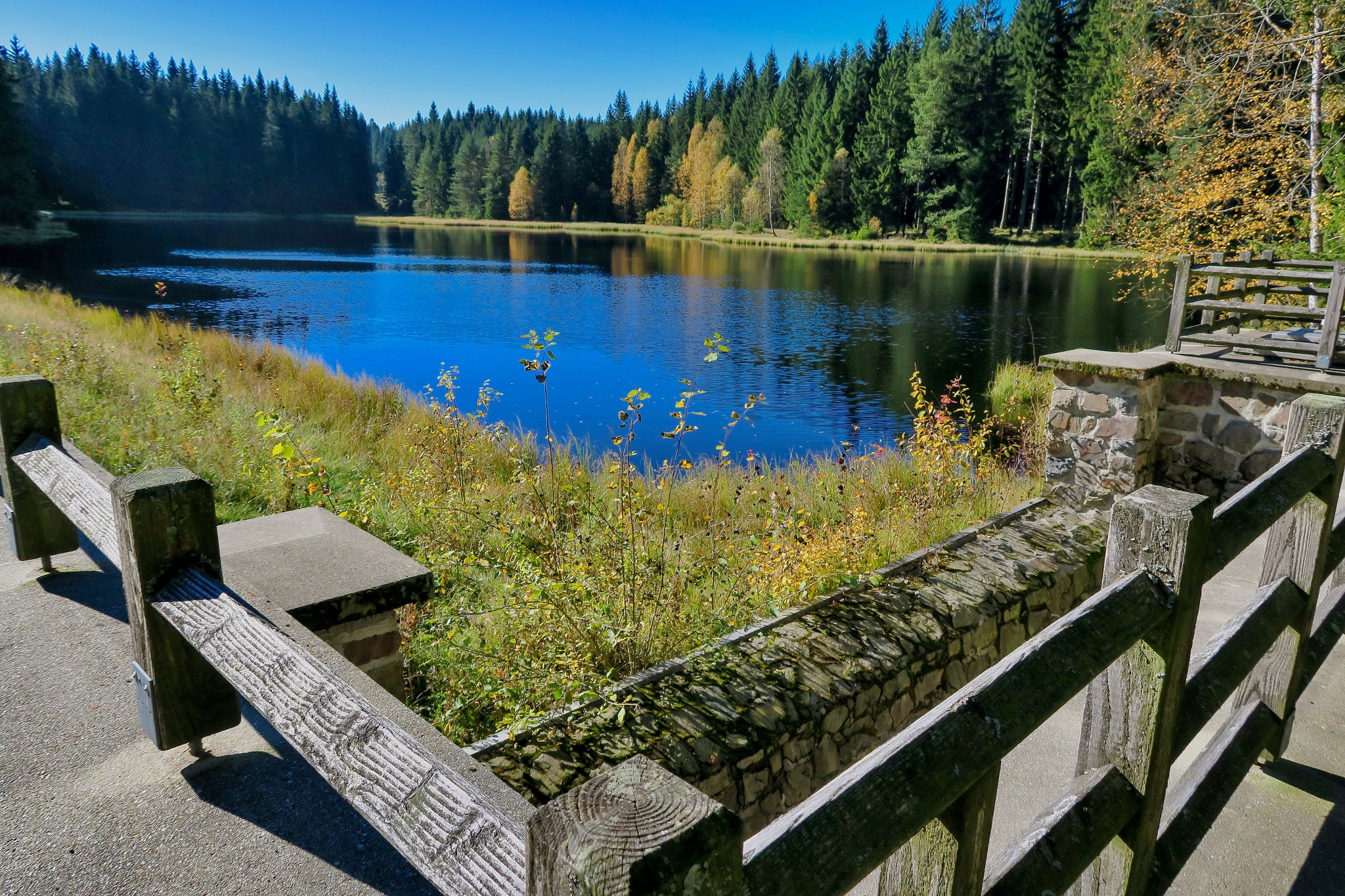 Kleiner Natur-Rundweg – Route 6 Beerheide – Motiv