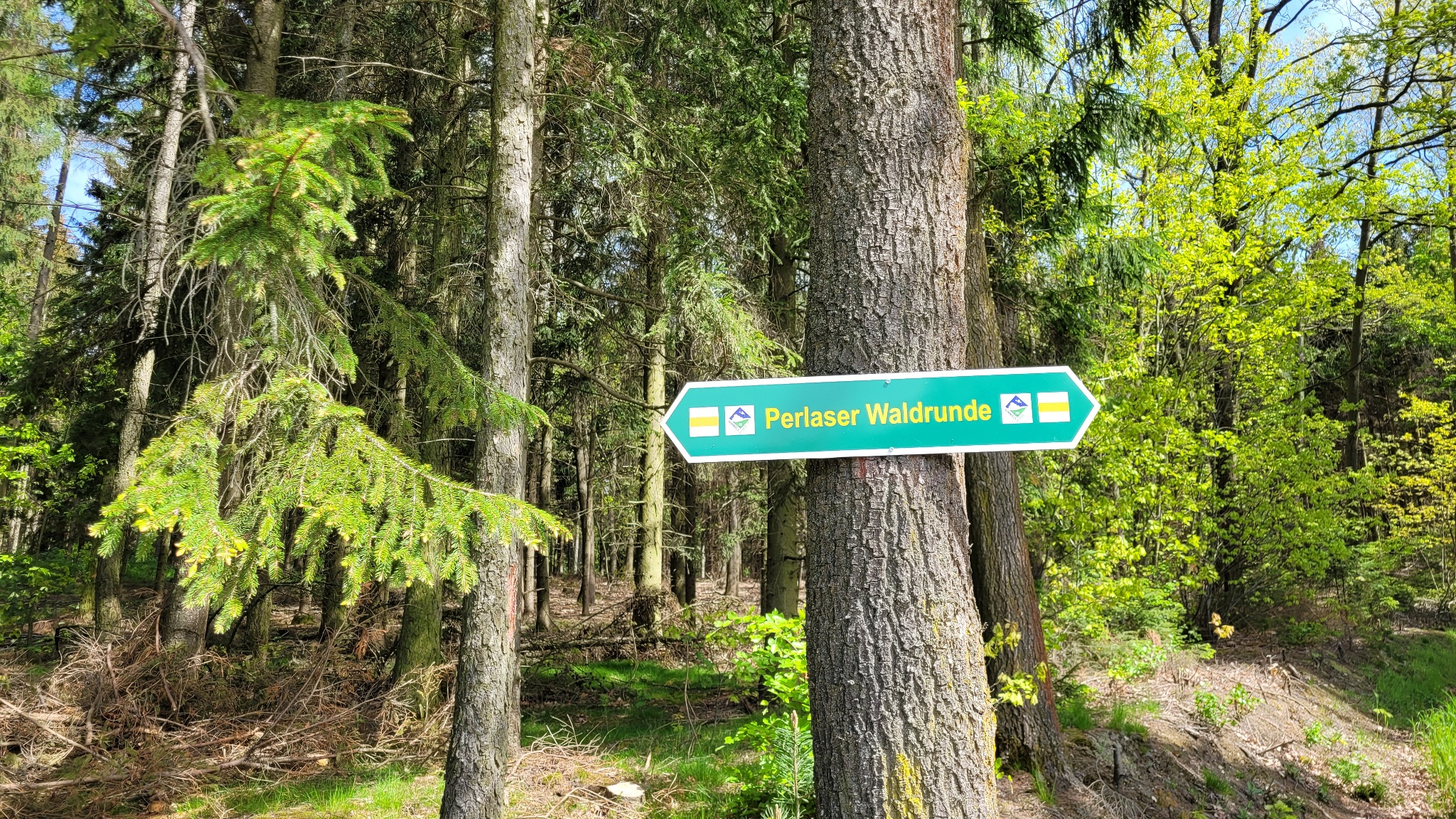 Perlaser Waldrunde – Himmelspfade – Motiv