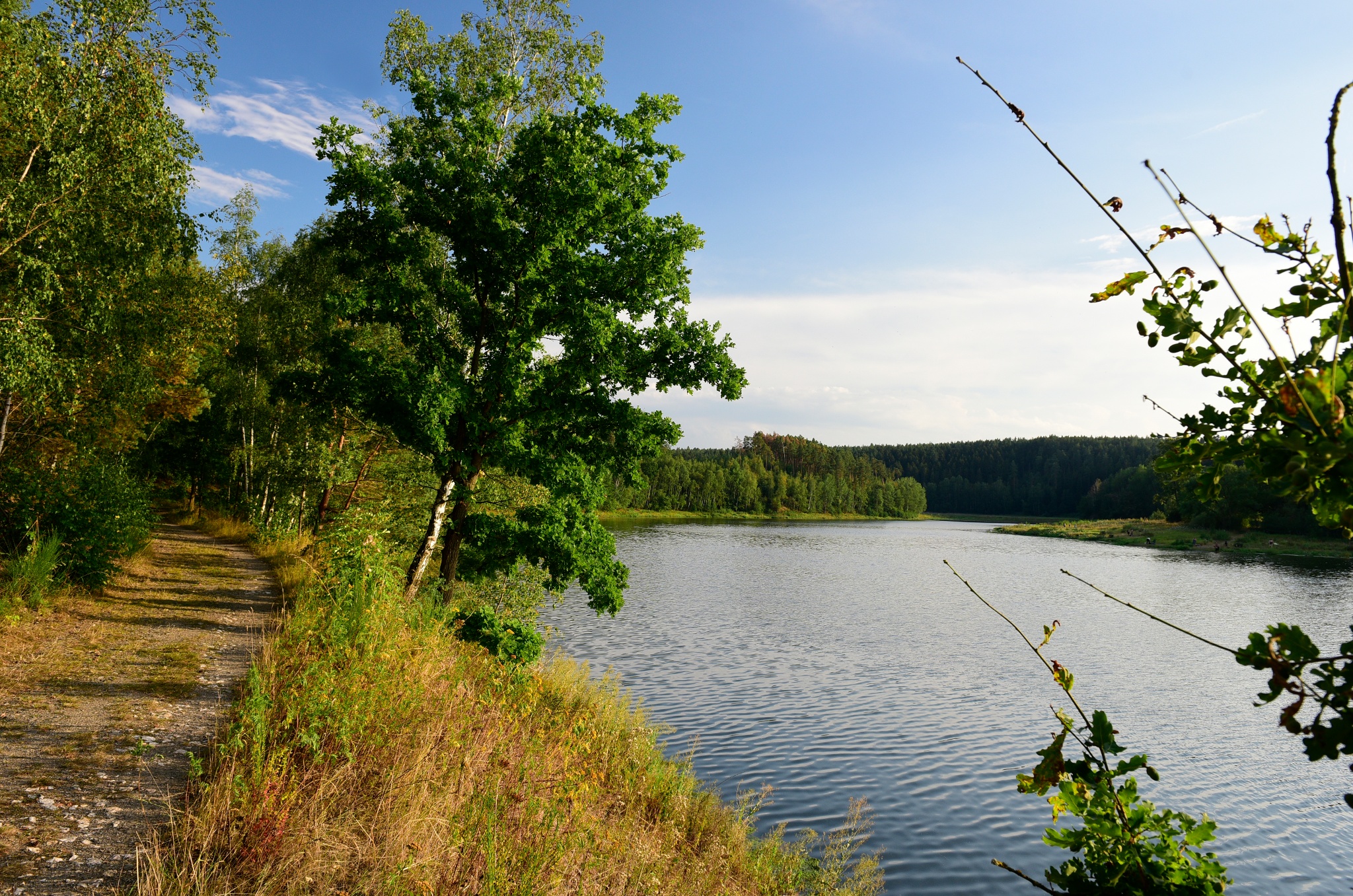 Talsperre Hohenleuben – Leubatalsperre – Motiv