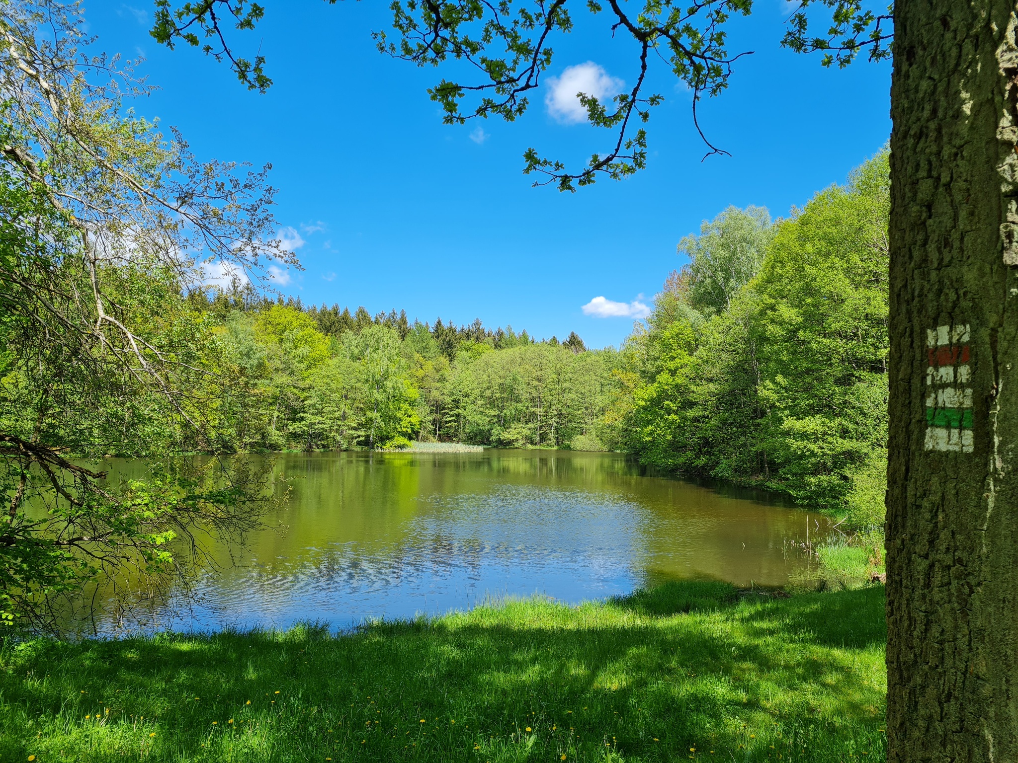 Schlötenteich – Motiv