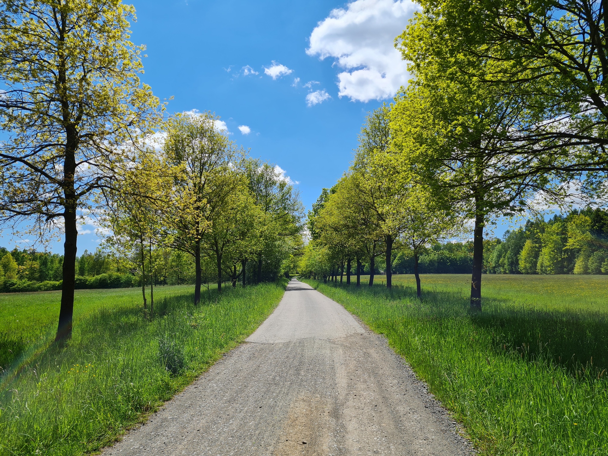 Durch das Waldhaus-Revier Greiz – Motiv