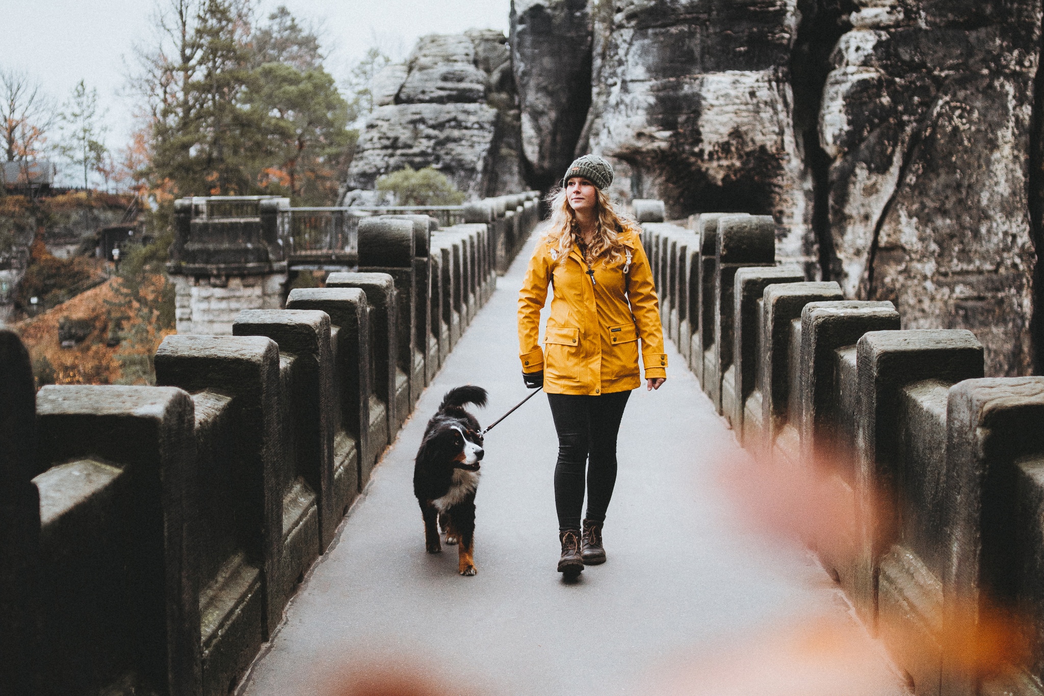 Wandern mit Hund auf dem Malerweg – Motiv