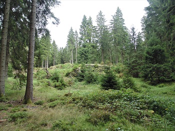 Pfaffenstein nahe des Schneckensteins – Motiv