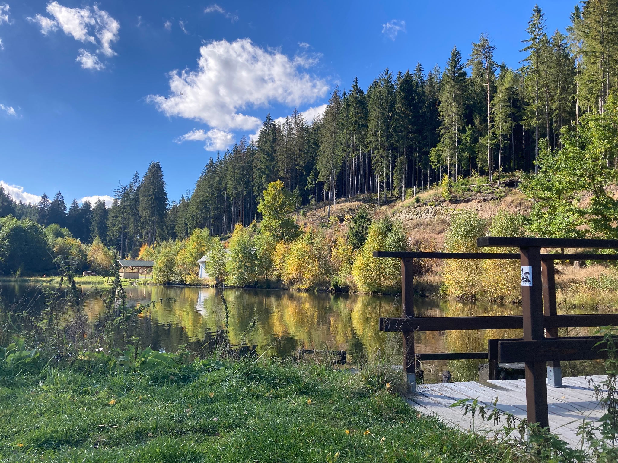 Thierteich bei Jägersgrün Gemeinde Muldenhammer im Vogtland – Motiv