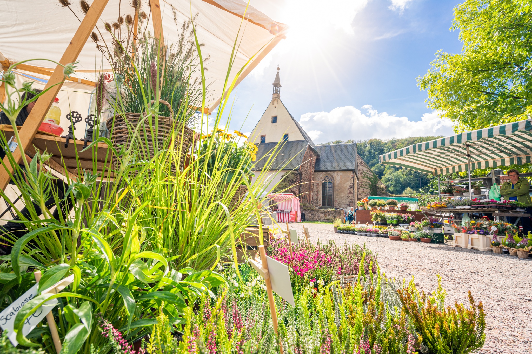 Bauernmarkt im Kloster Buch – Motiv