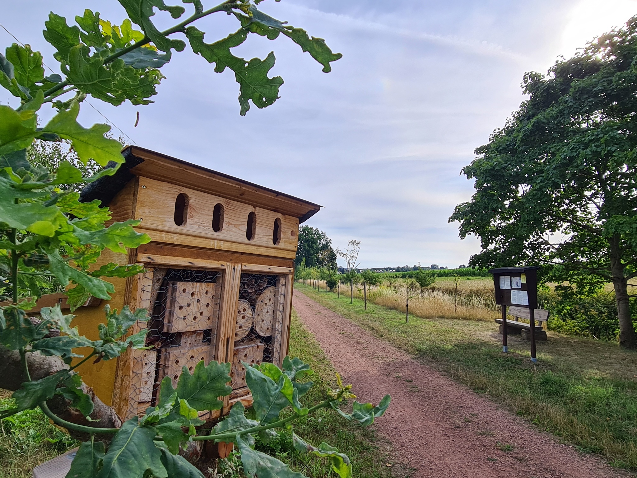 Streuobstwiese – Motiv