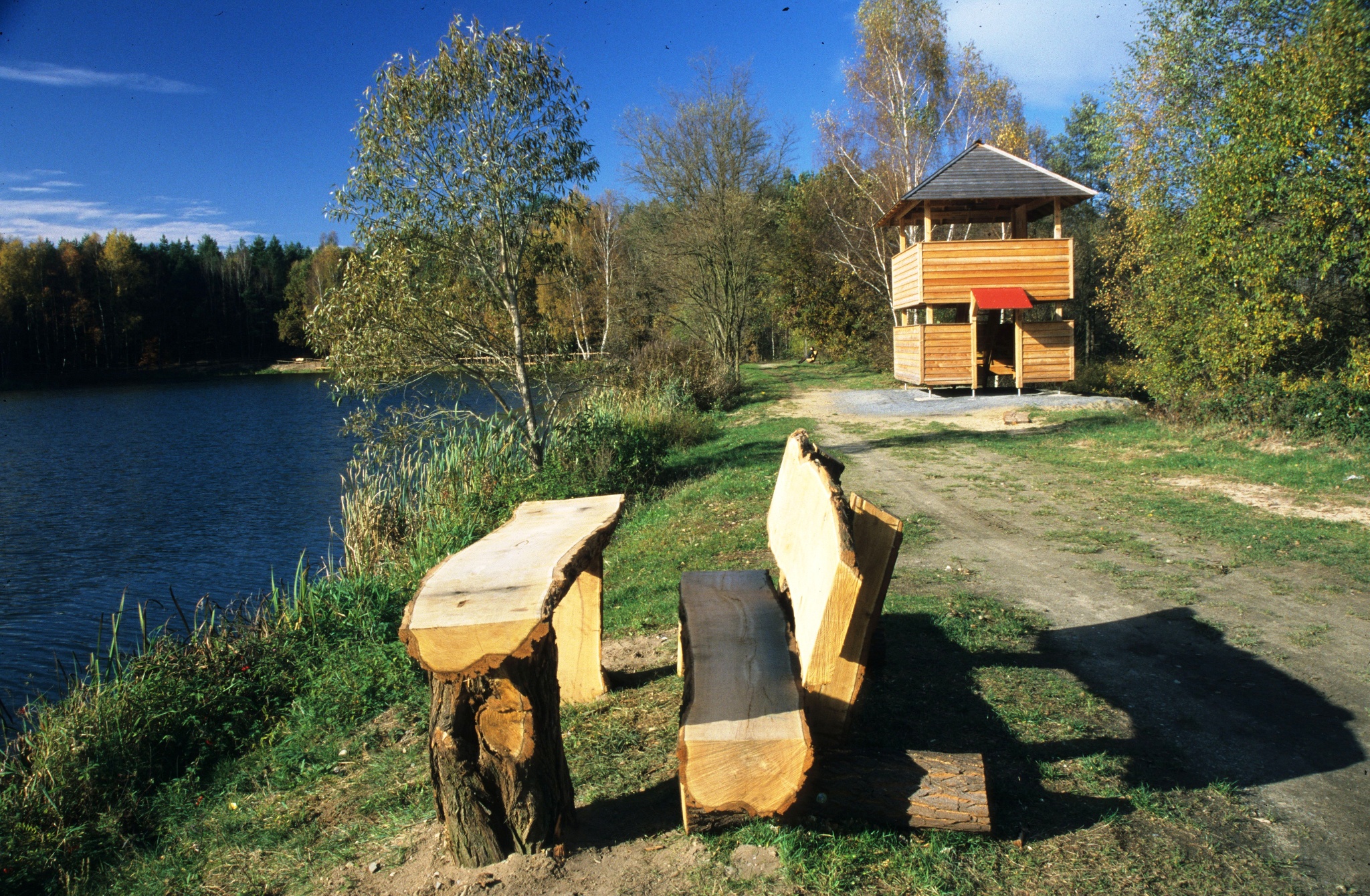 Biberpfad Königsbrücker Heide – Motiv