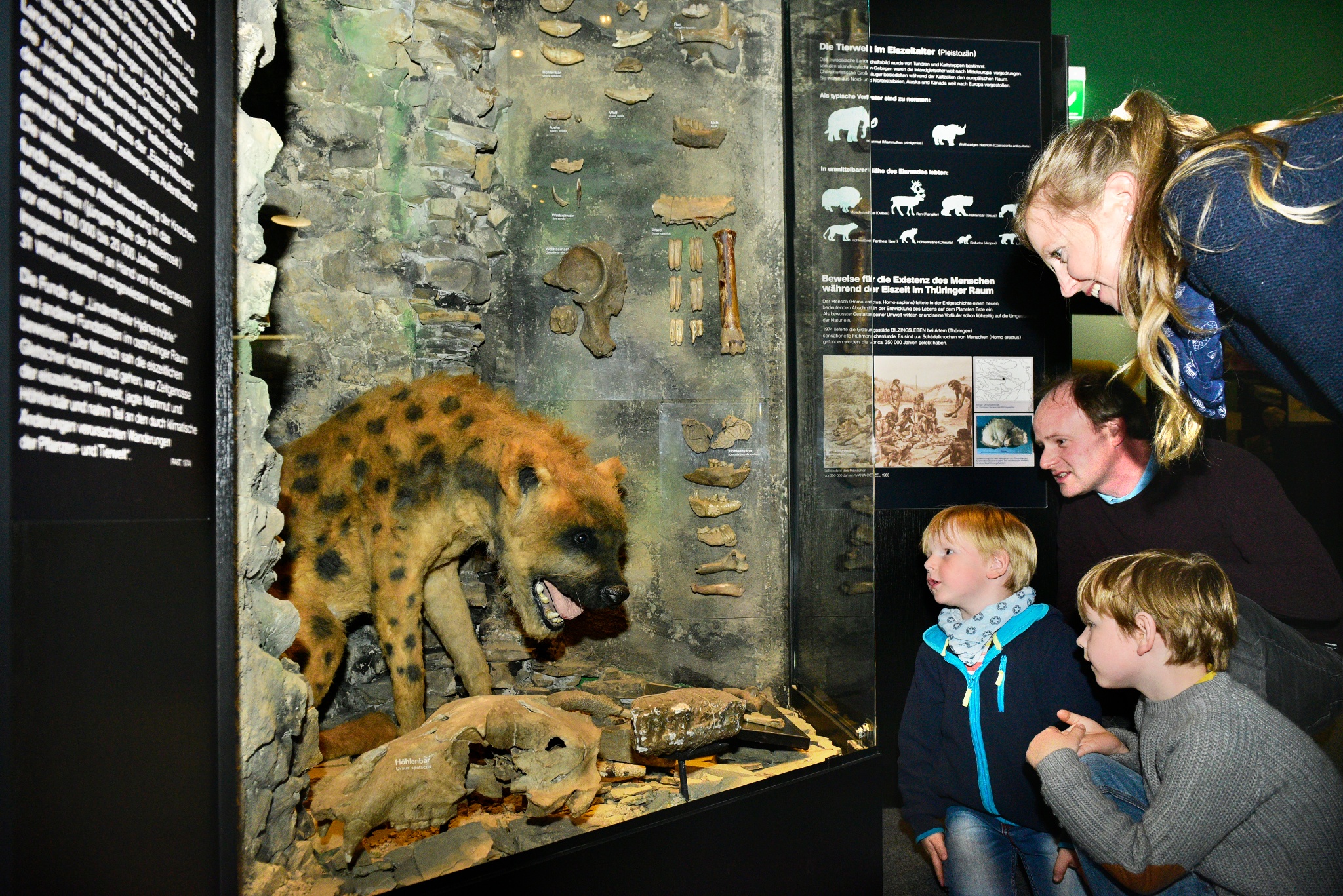 Museum für Naturkunde Gera – Motiv