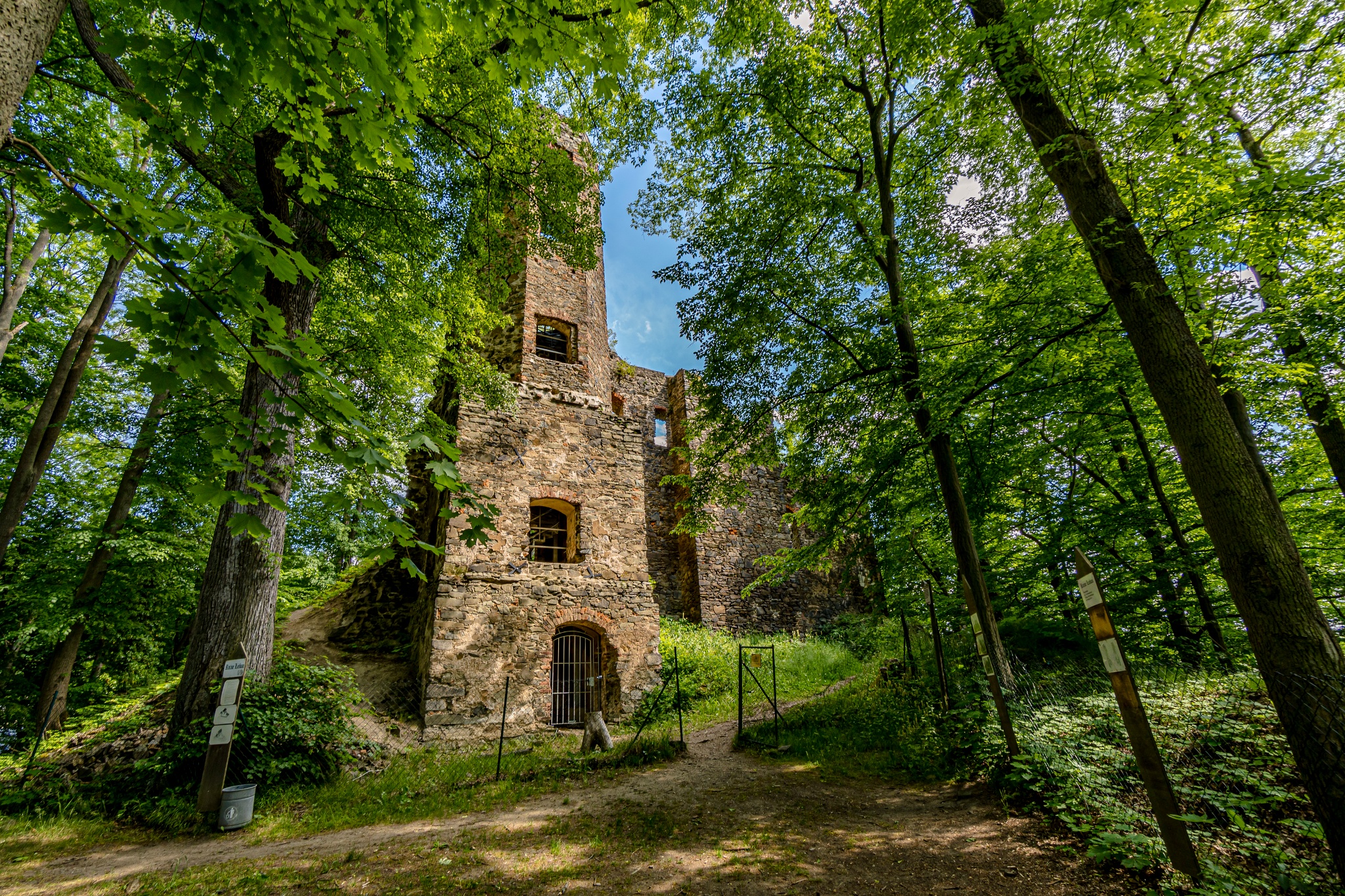 Burgruine Liebau – Motiv