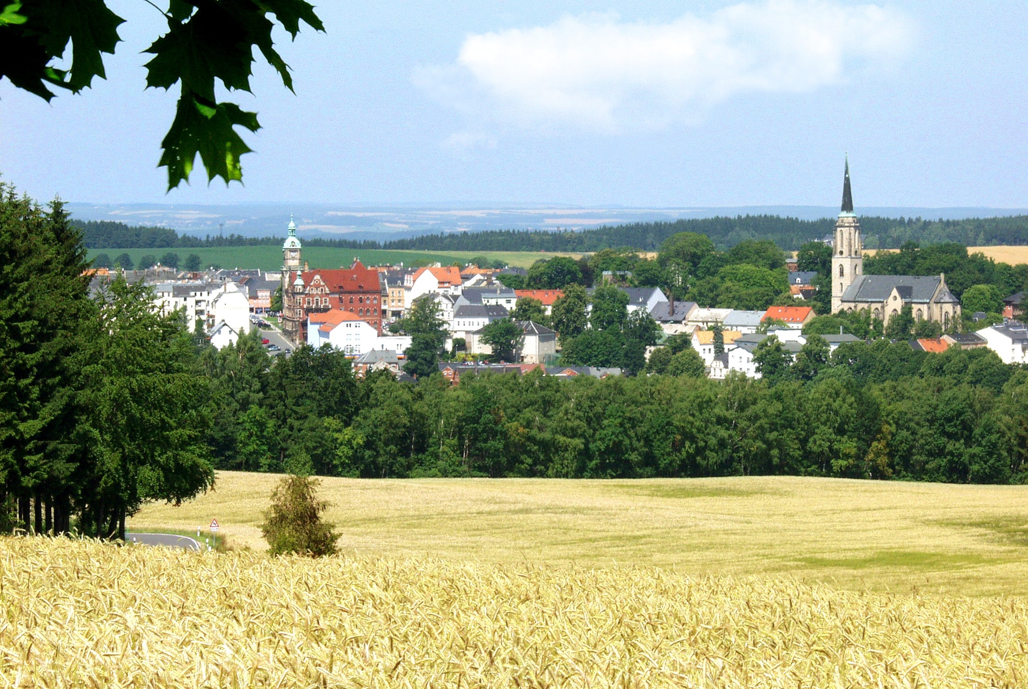 Starttafel für Felsenweg 1 (Grünbach) – Motiv