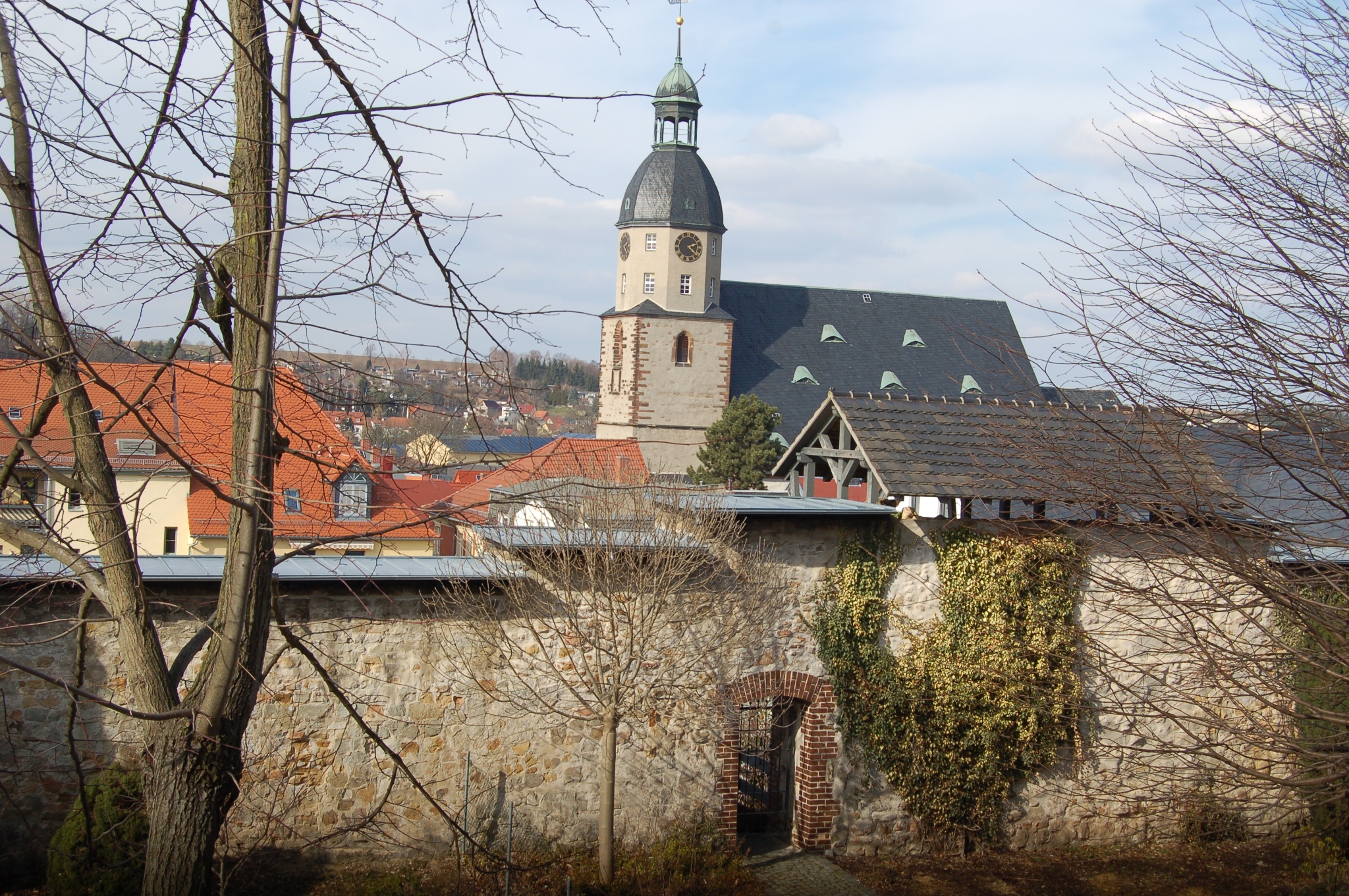 Stadtkirche St. Nicolai Schmölln – Motiv