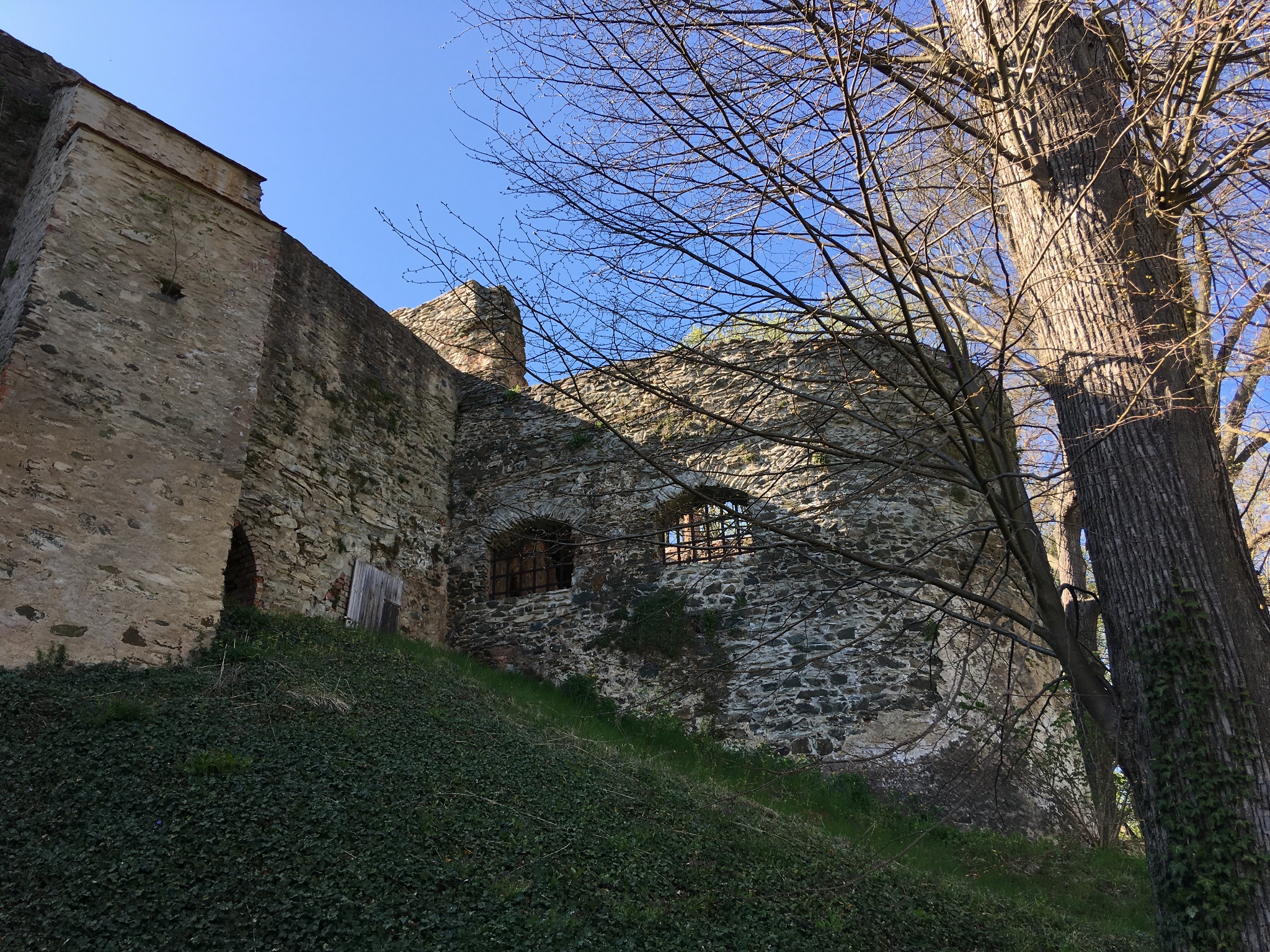 Burgruine Hartenstein – Motiv