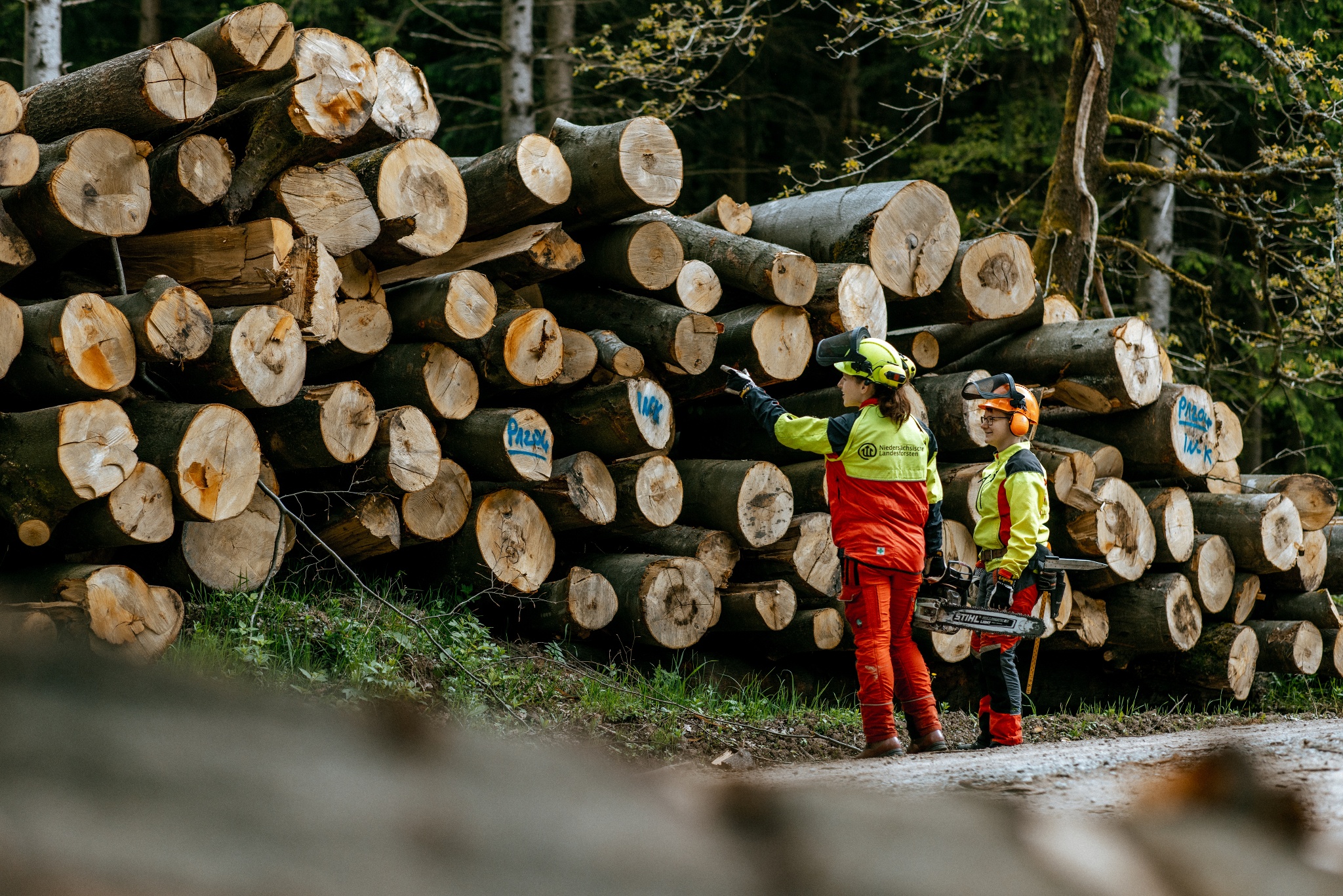 Niedersächsische Landesforsten, Forstamt Neuhaus