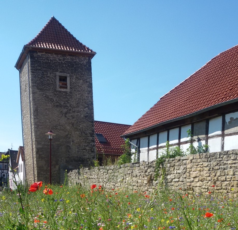Gronauer ZeitUfer mit schiefem Turm