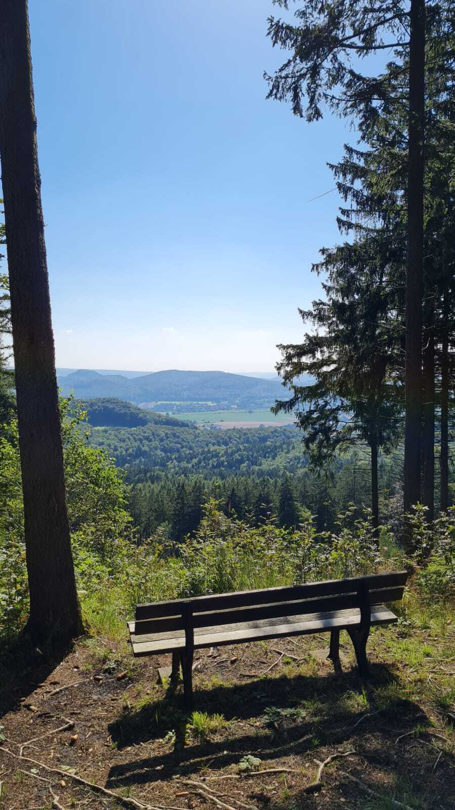 Bank mit Aussicht
