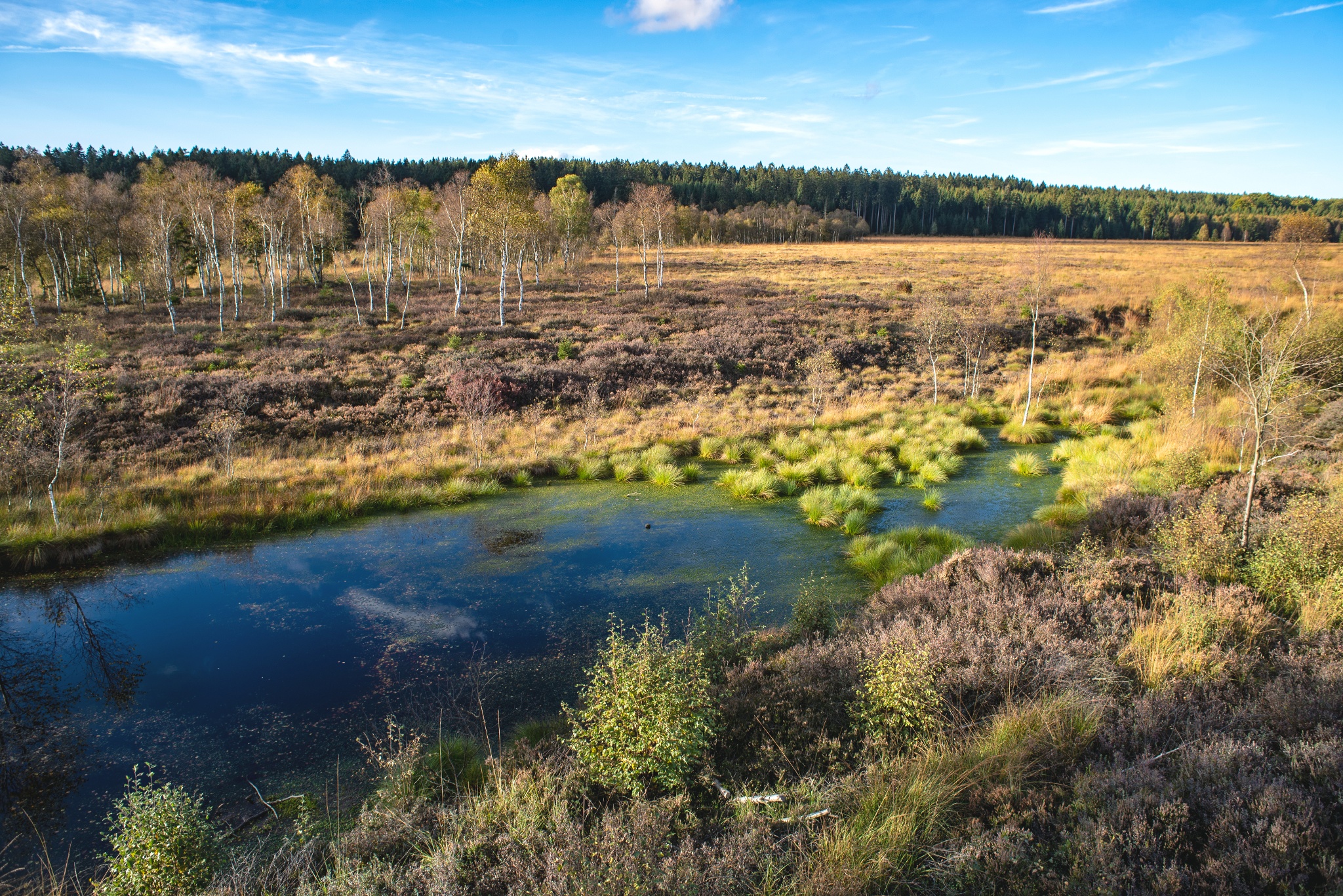 WS Stempelstation 29: Panoramaweg Silberborn