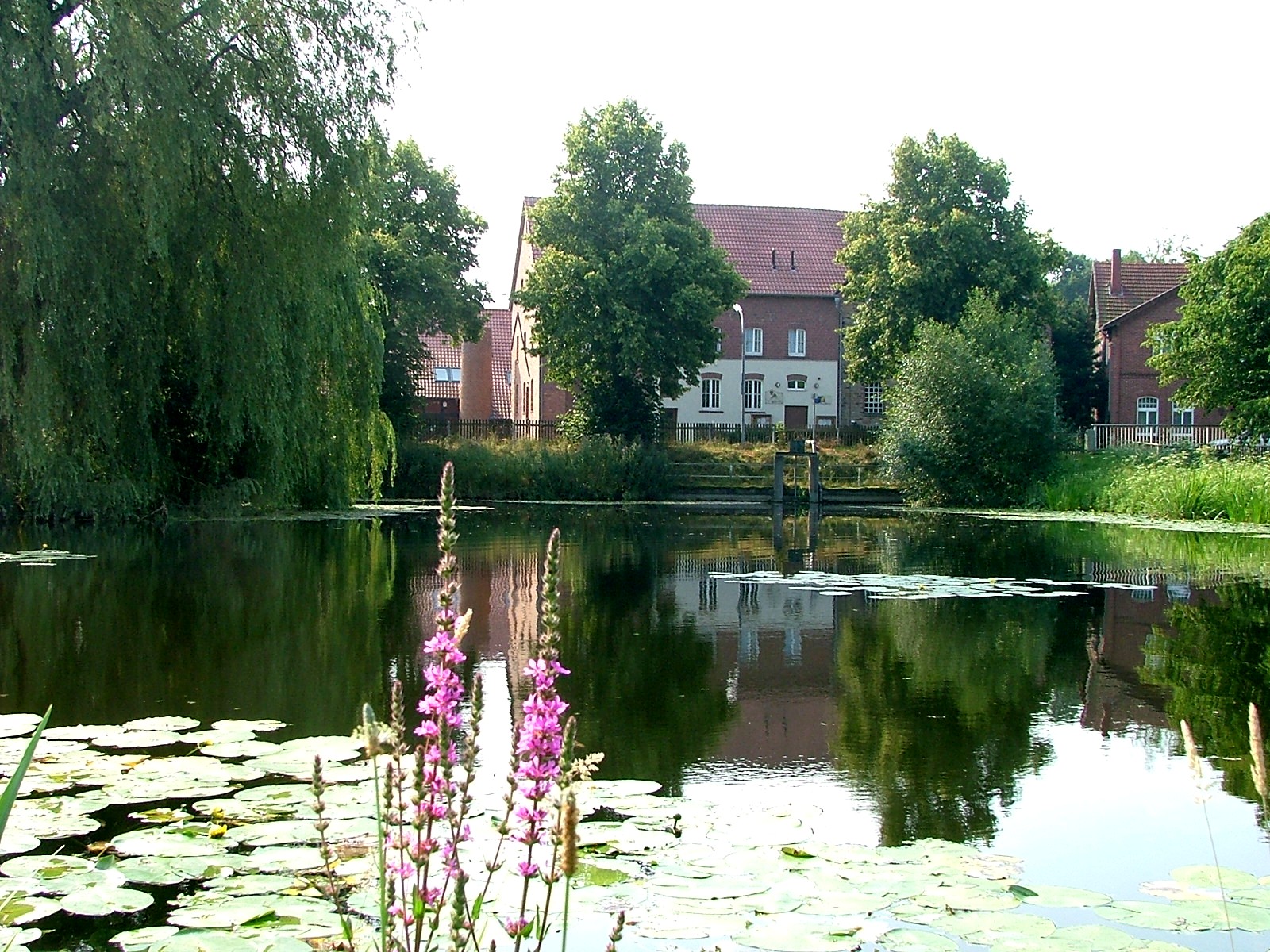 Rund um Belm