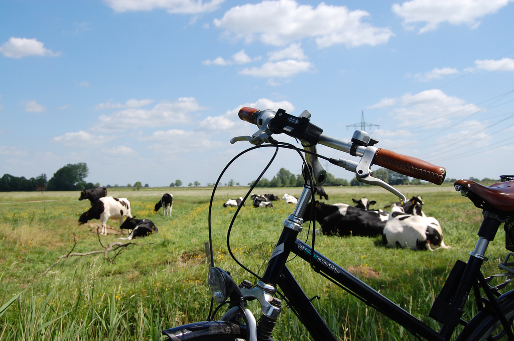 Jan-Schüpp Fahrradpad