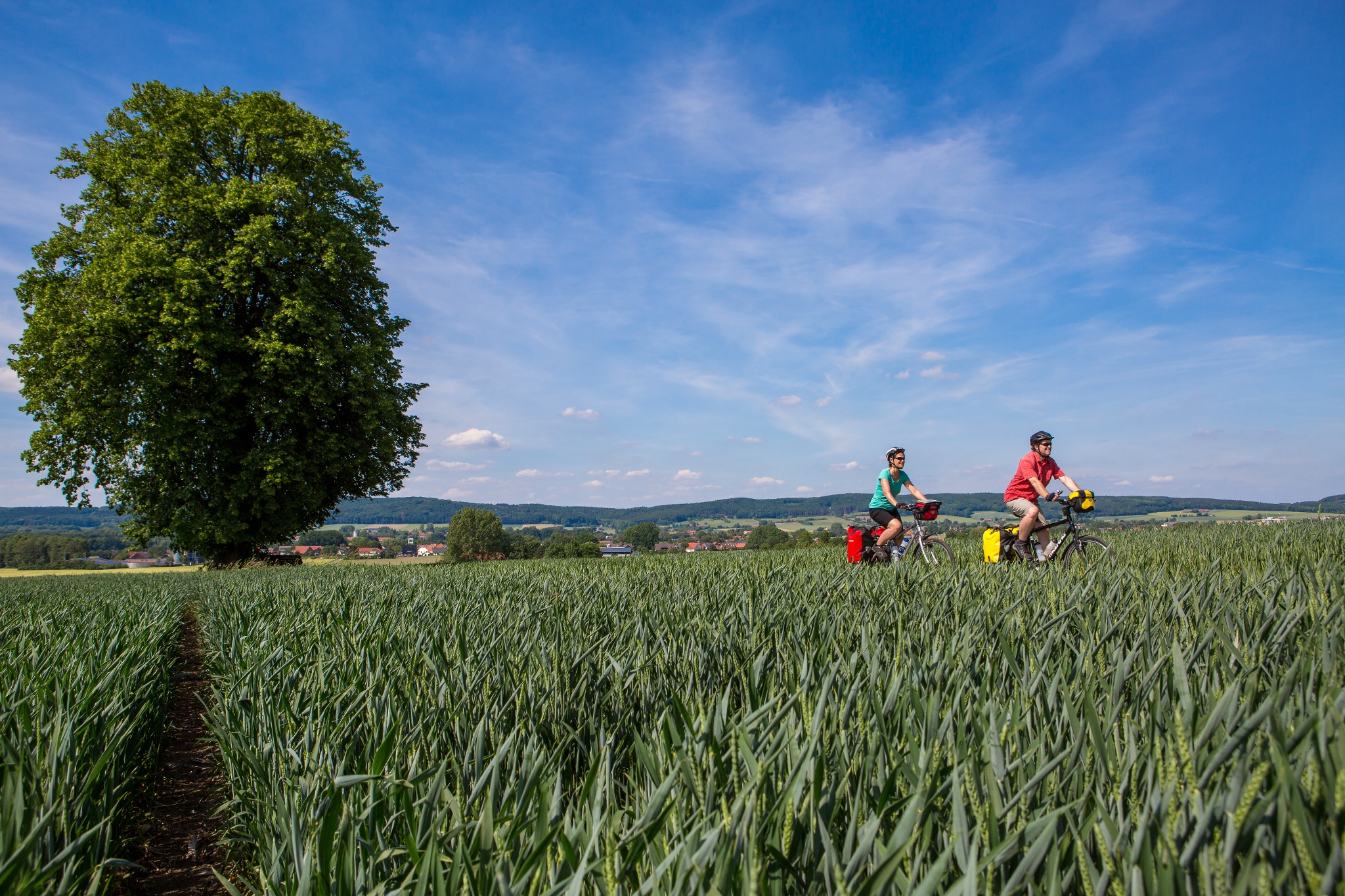TERRA.trail 13 - Rund um Stahl und Kohle