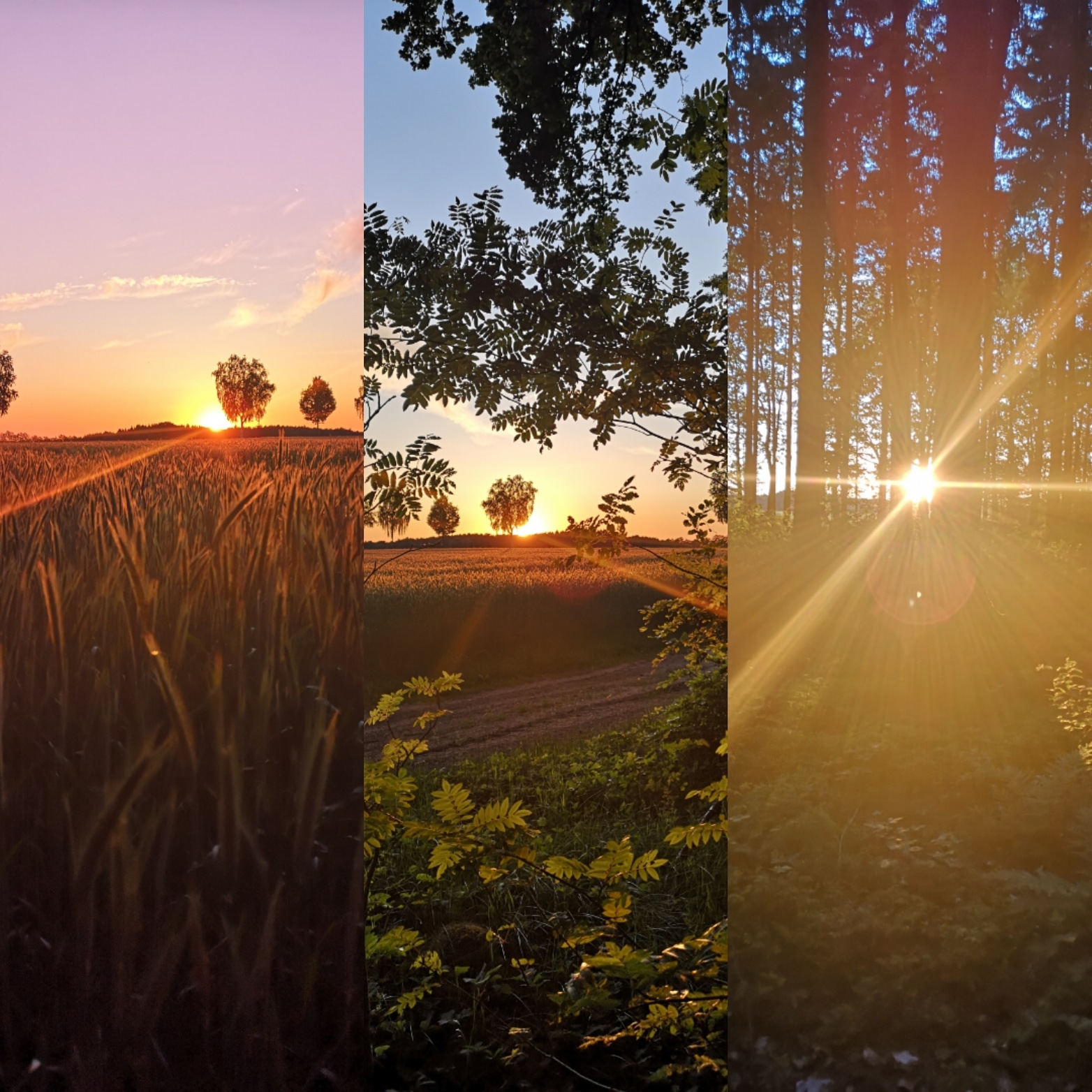 Landschaft um den Ennenhof