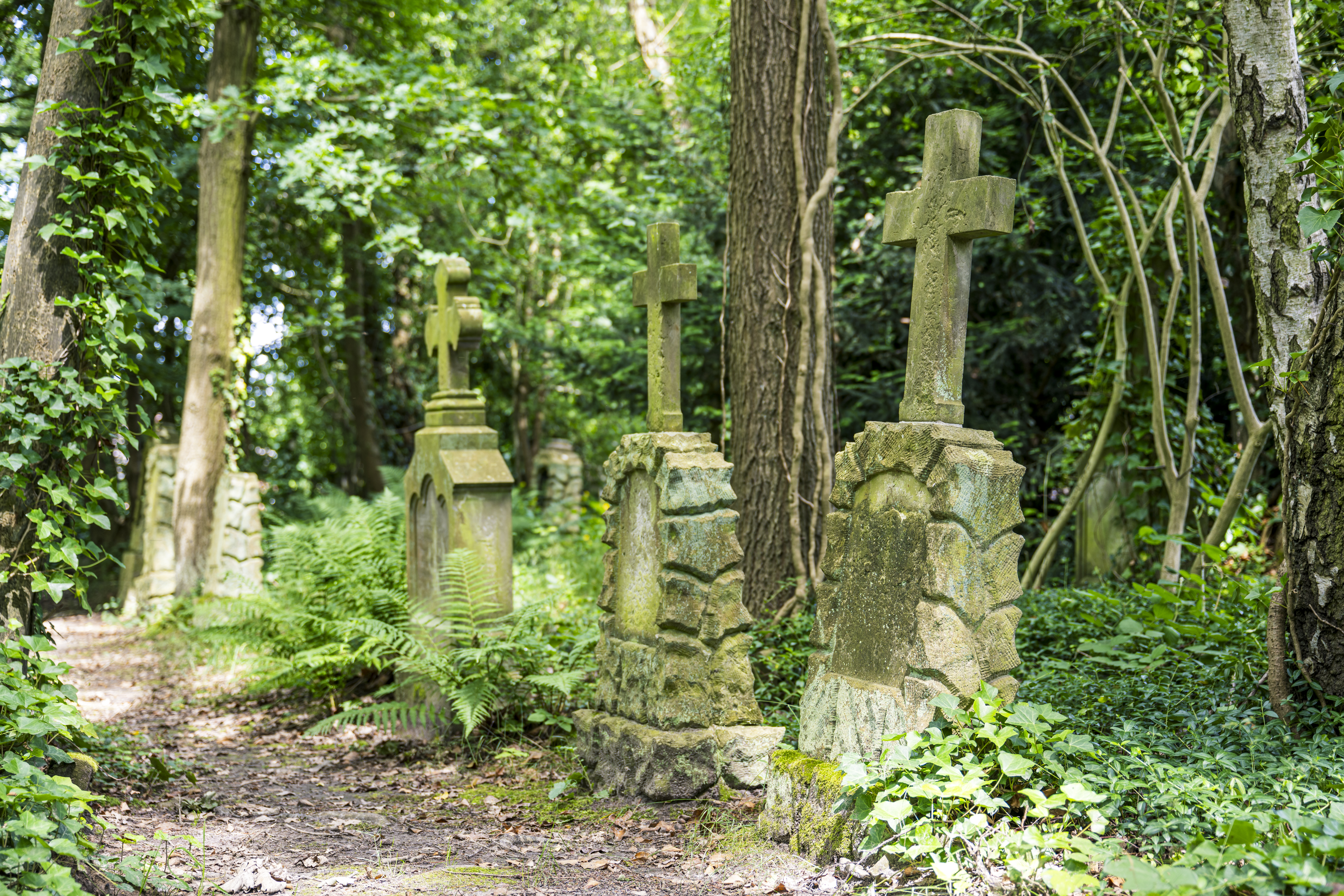 Alter Friedhof Thomasburg