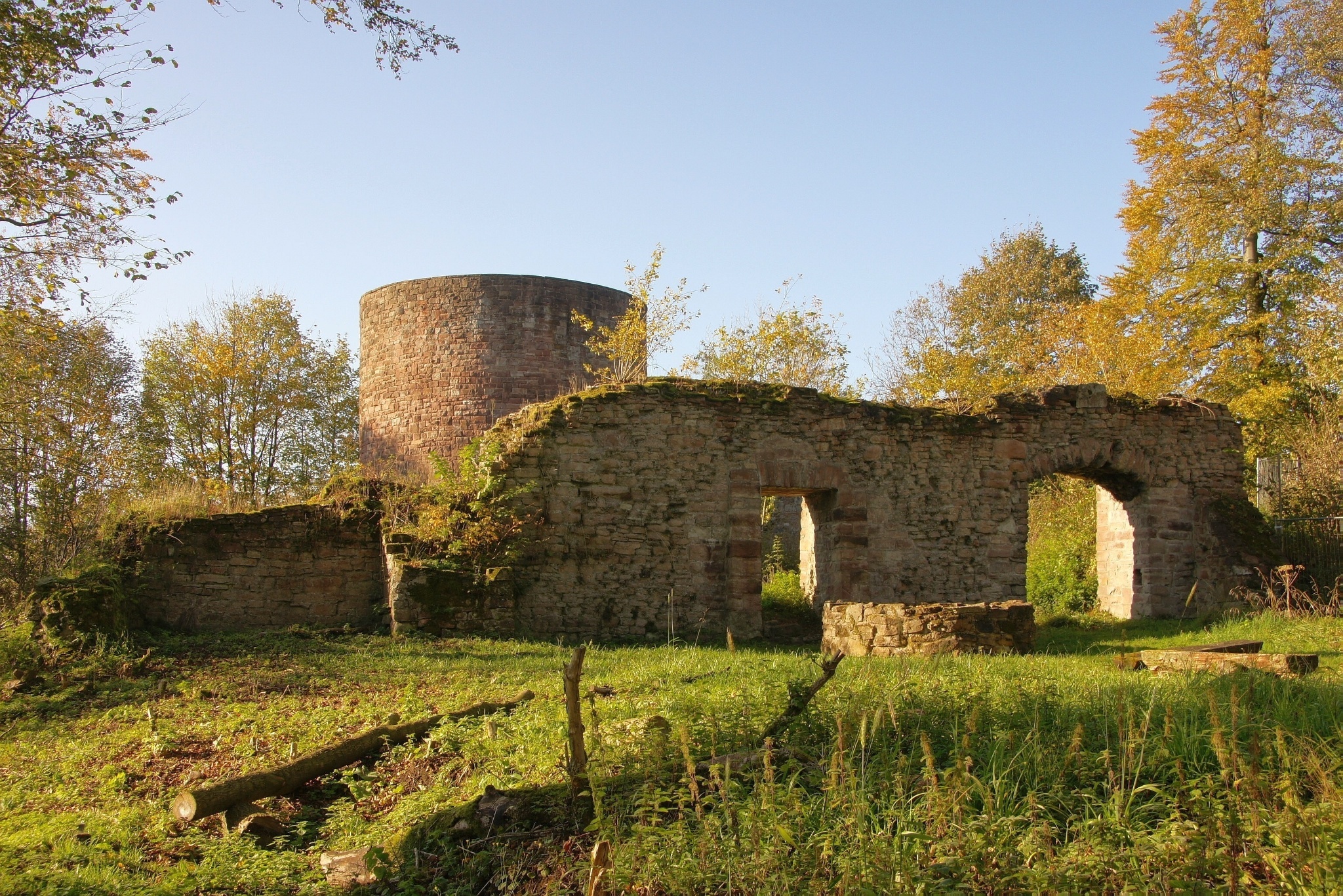 Homburgruine Stadtoldendorf
