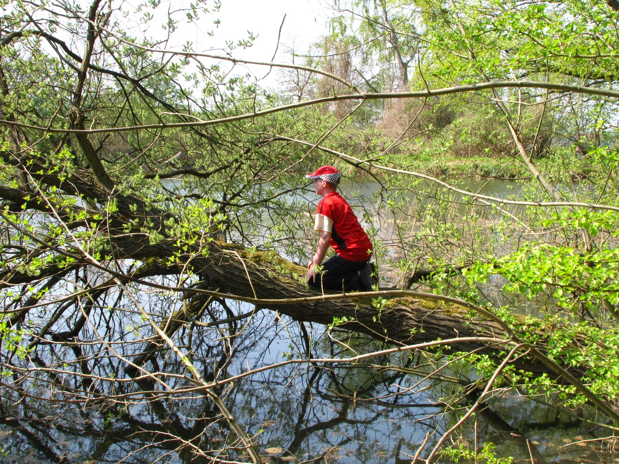 Naturatlas - Neuer Teich / Warne