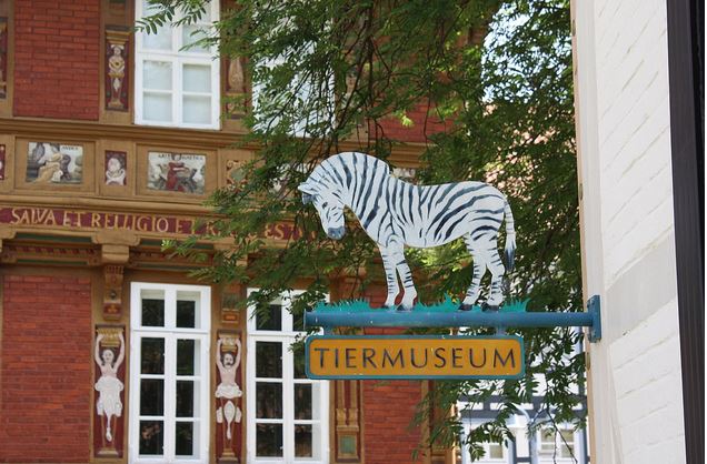 Tiermuseum Alfeld