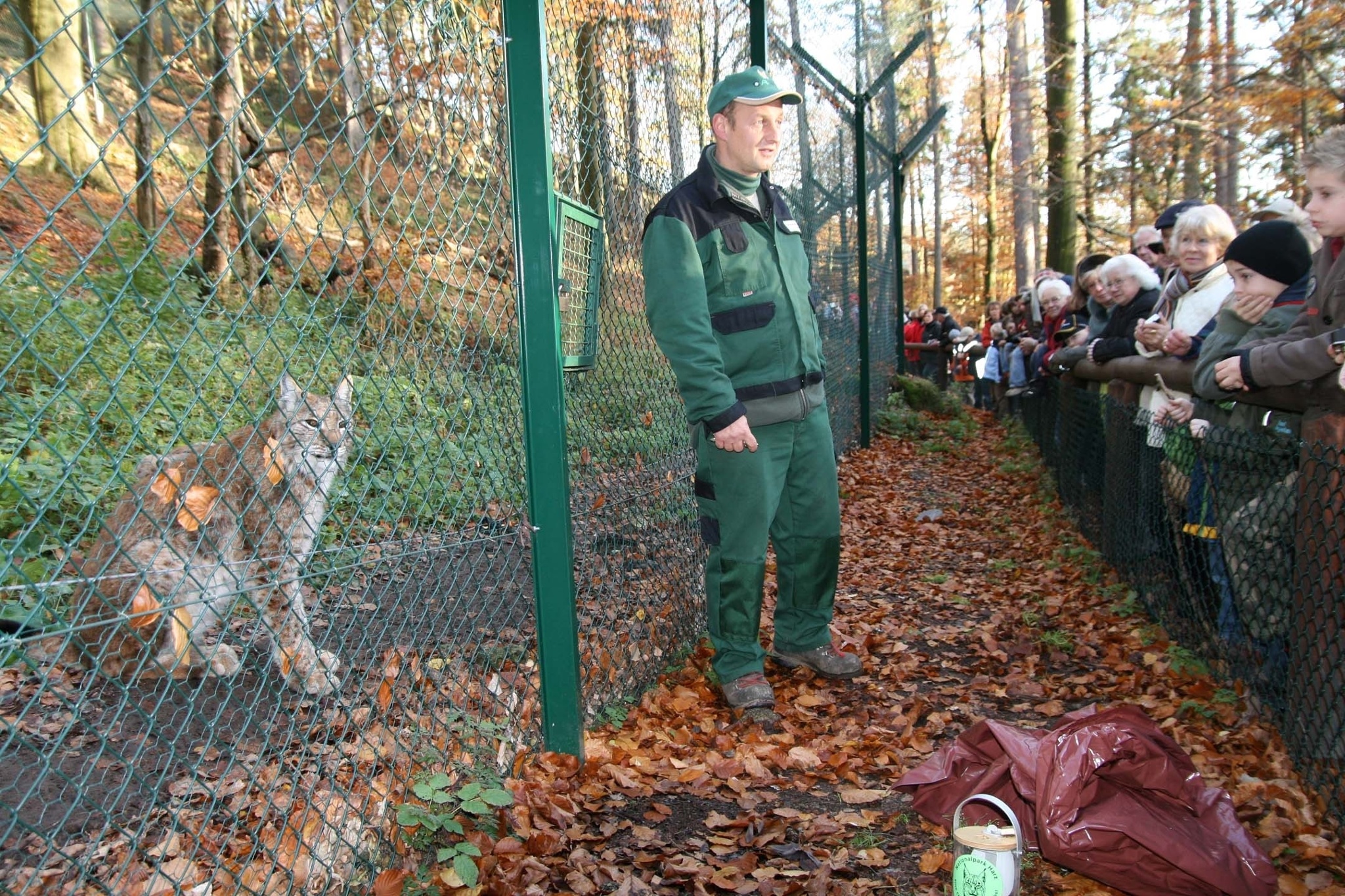 Luchstour