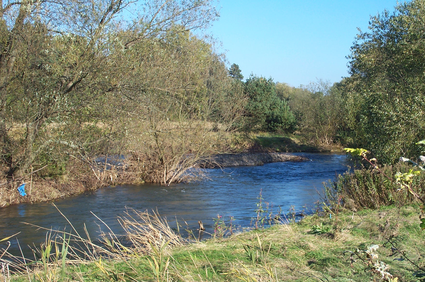 Naturatlas Salzgitter, Wanderweg an der Innerste