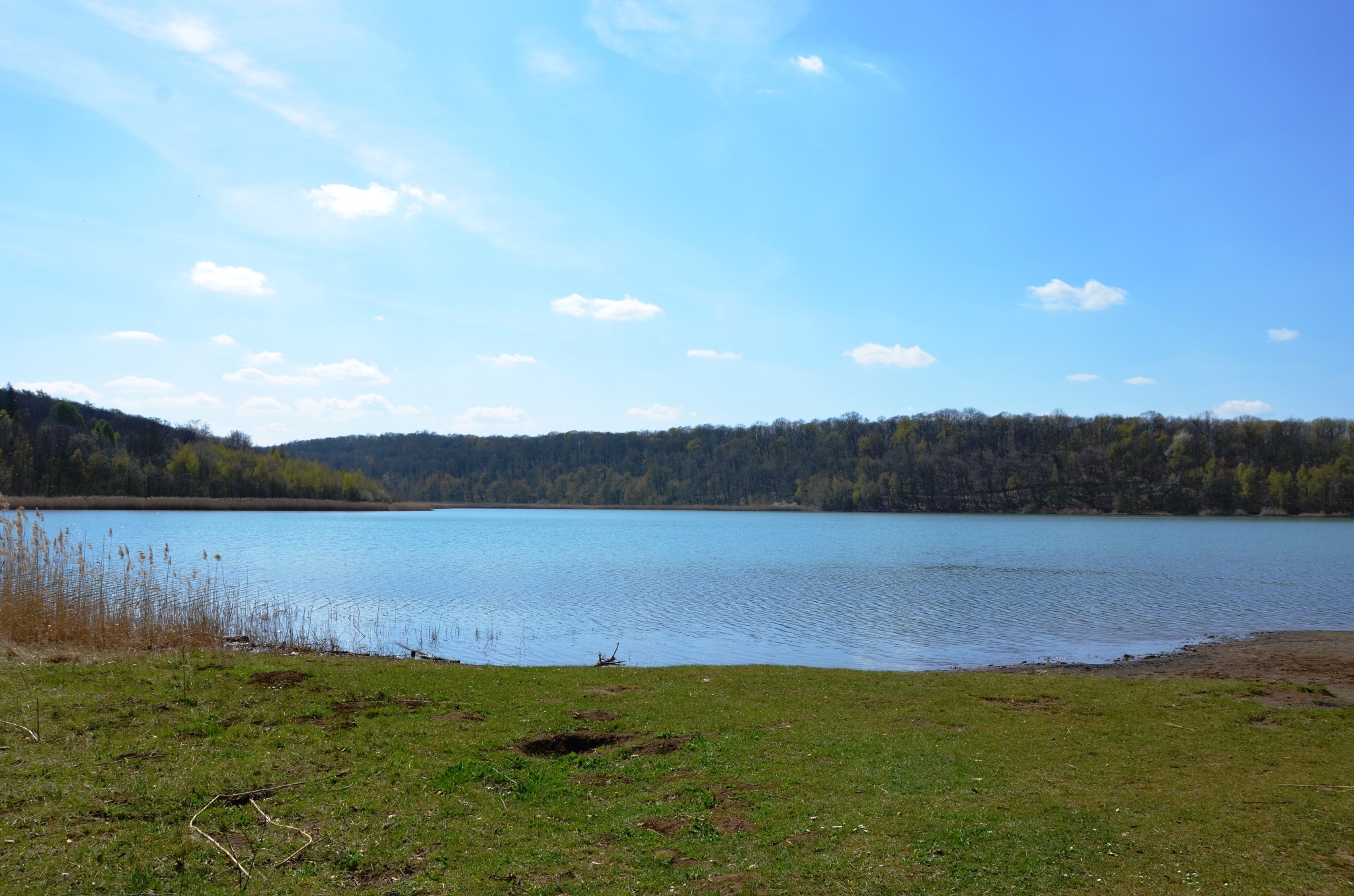 Naturatlas - Reihersee