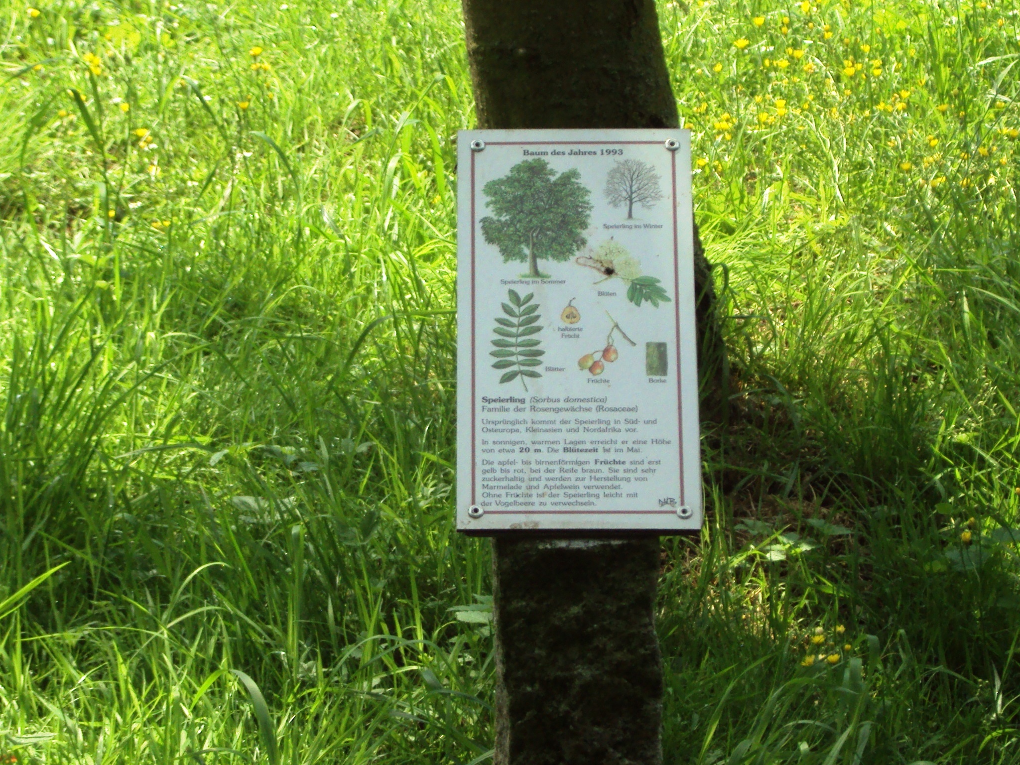 Kappental und Herzberg Gebhardshagen