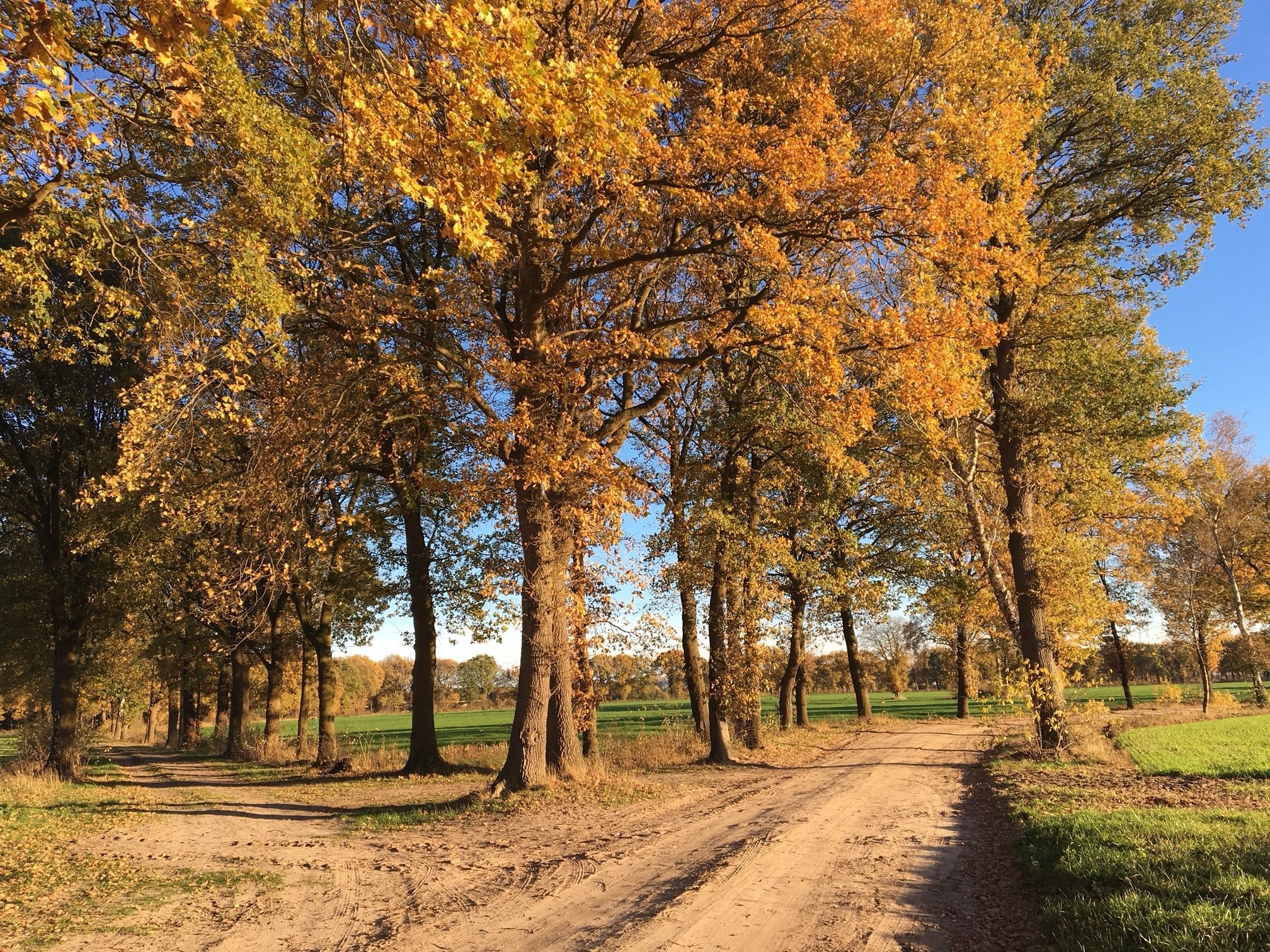 Wemkendorfer Wasserweg