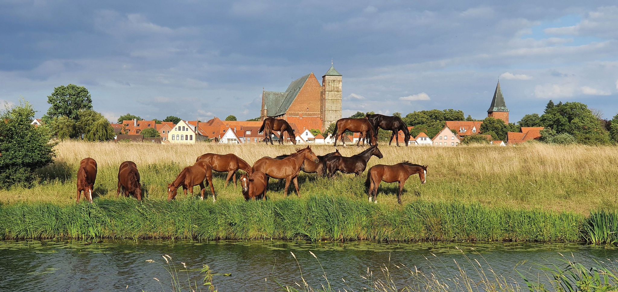 Weser-Radweg, 6. Etappe: Von Verden nach Bremen