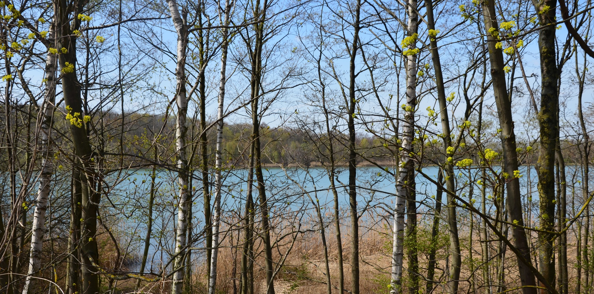 Rundwanderweg Bismarckturm und Reihersee