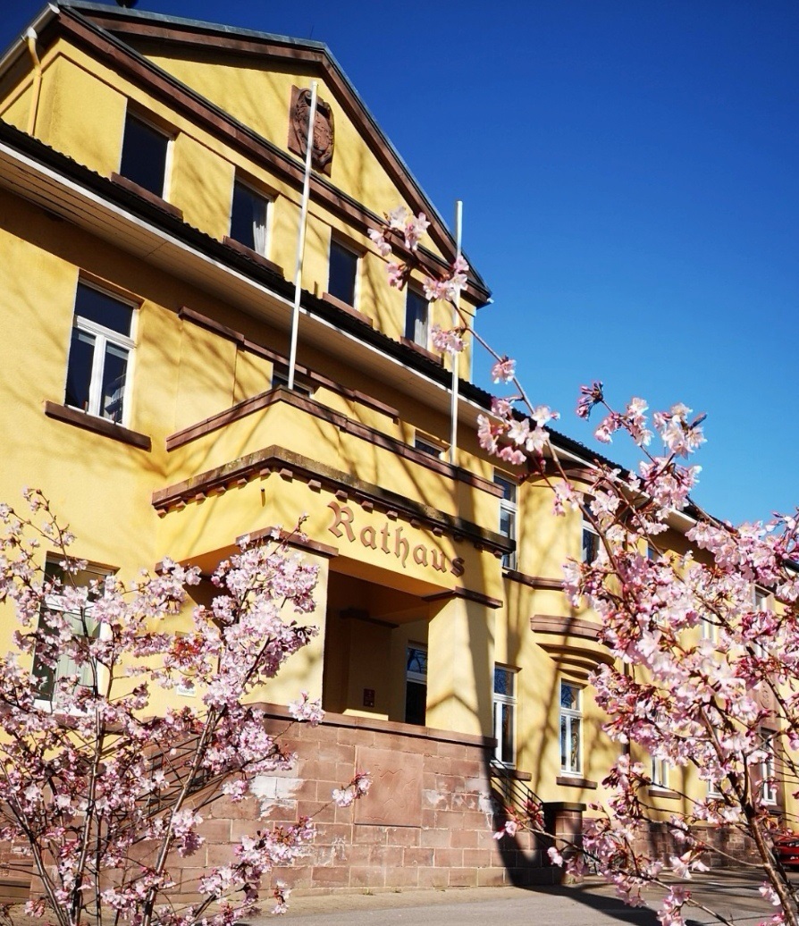 Rathaus Stadtoldendorf mit Touristinformation