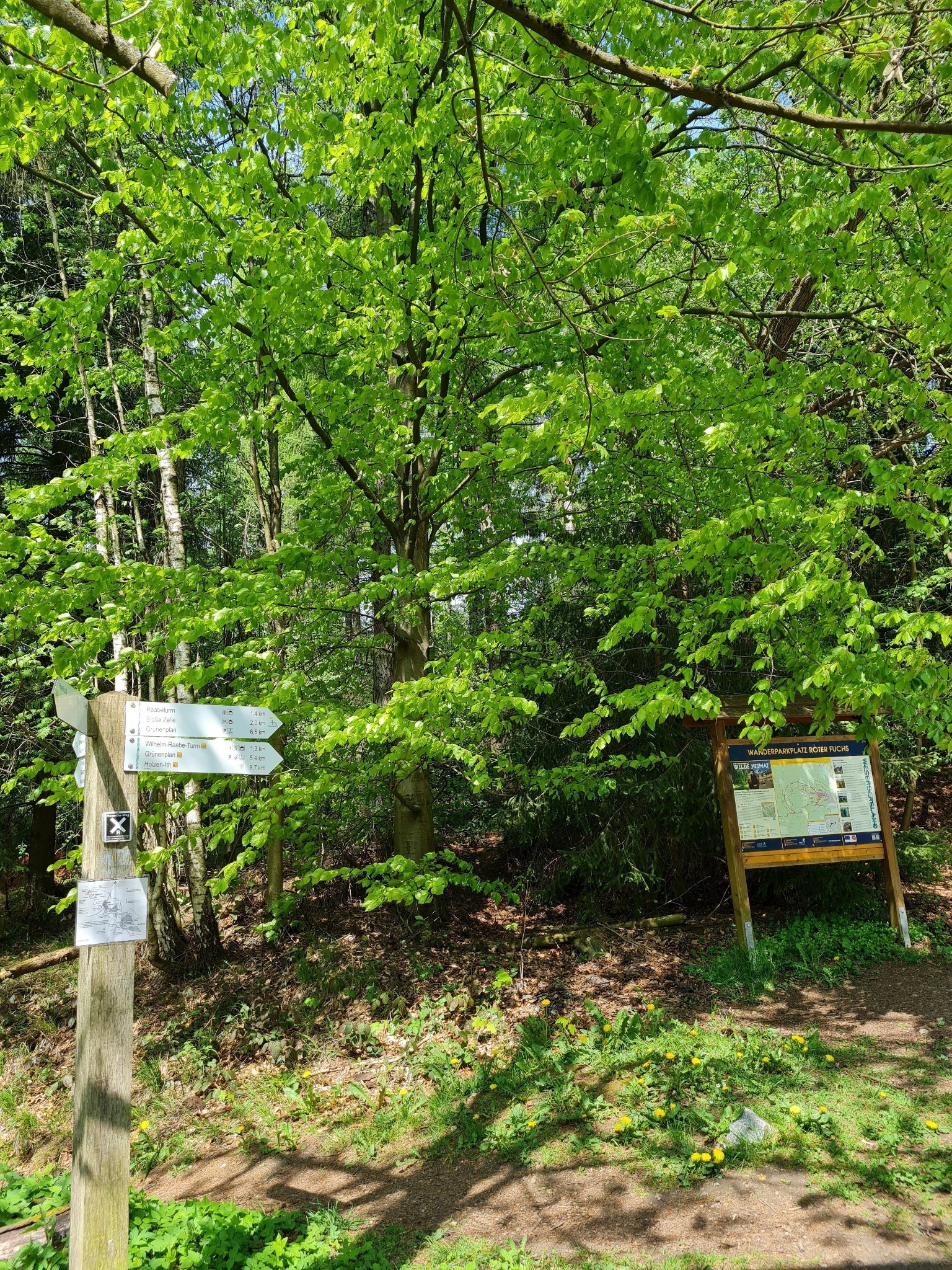 Wanderparkplatz "Roter Fuchs"