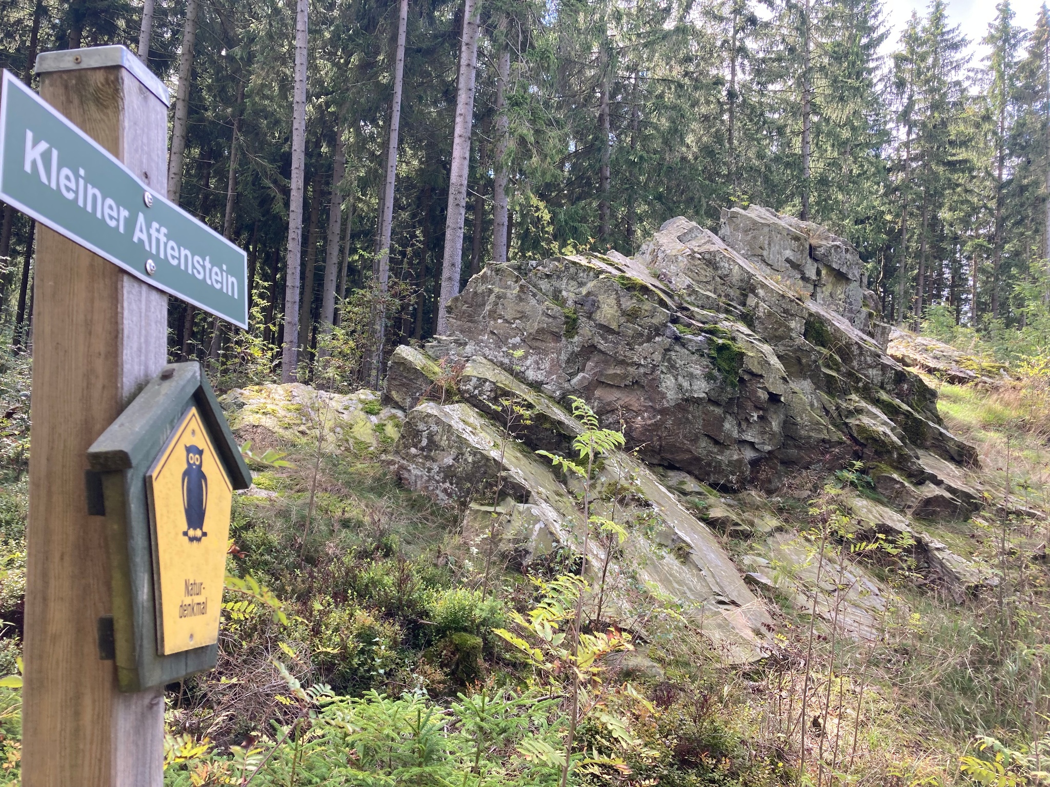 Kleiner Affenstein entdecken am Felsenweg 1 und Musikantensteig – Motiv