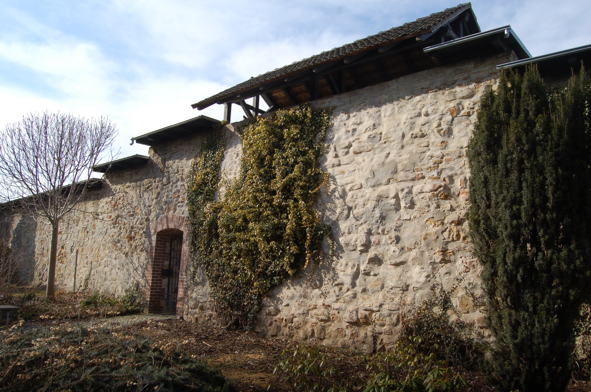 Stadtmauer Schmölln – Motiv