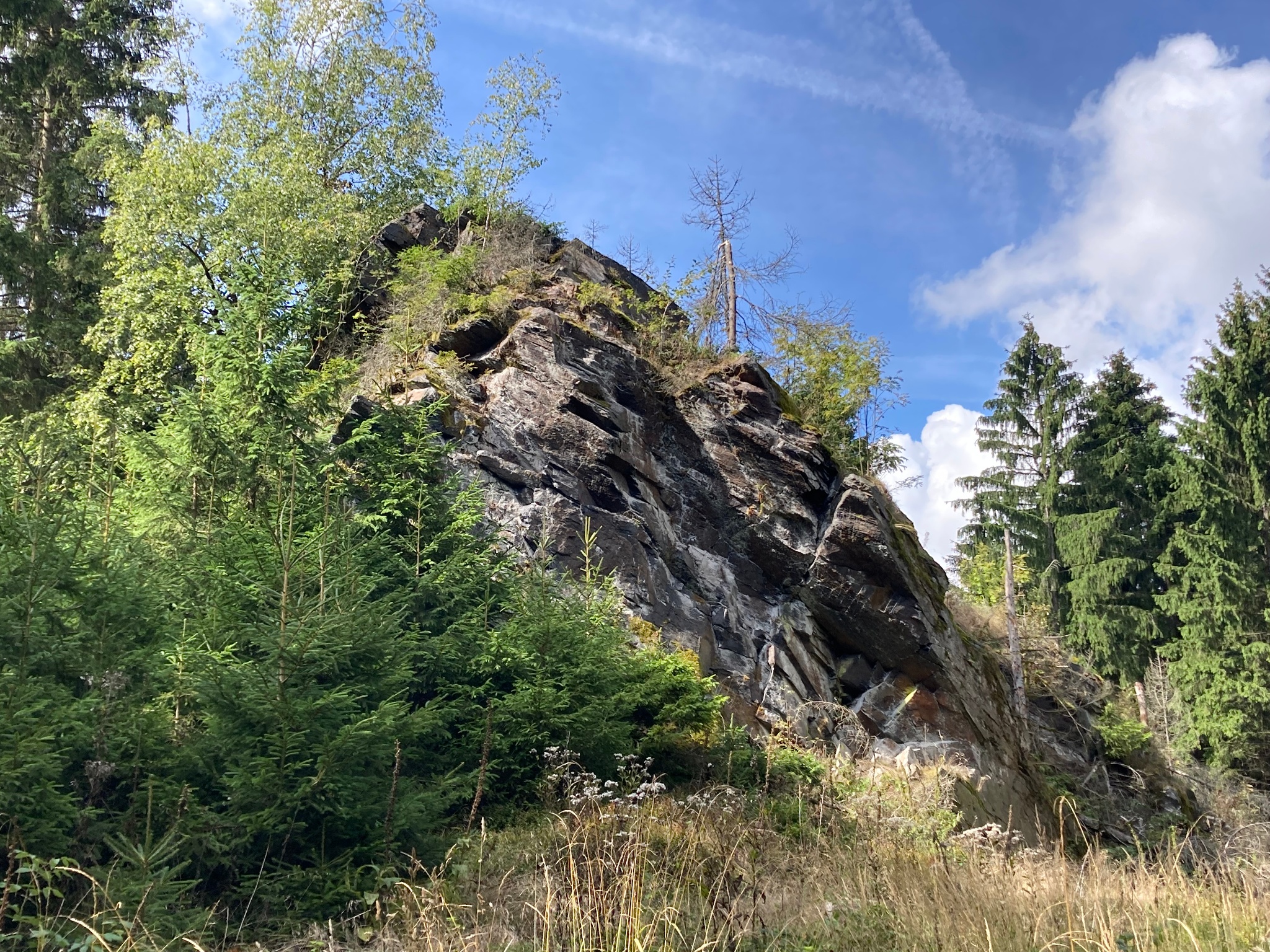 Barrierefreier Wanderweg von Schöneck nach Grünbach – Motiv