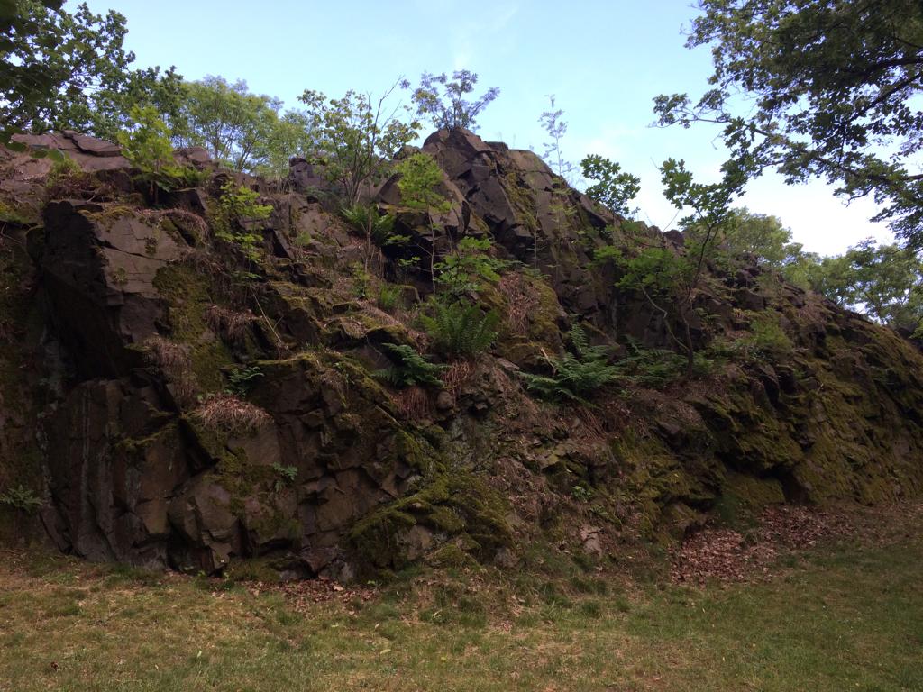 Schulfelsen am Tierpark Falkenstein – Motiv