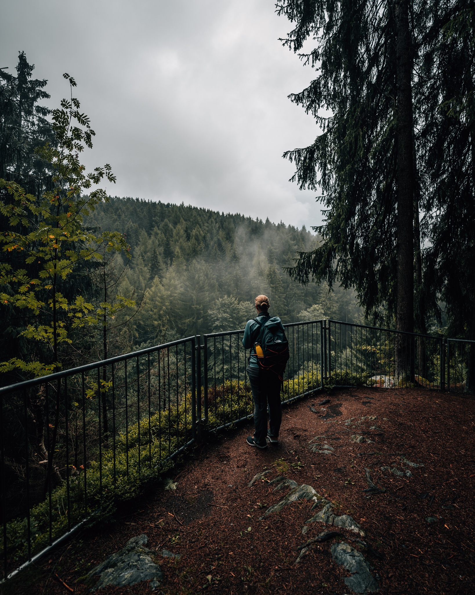 Bismarck Bastei – Motiv