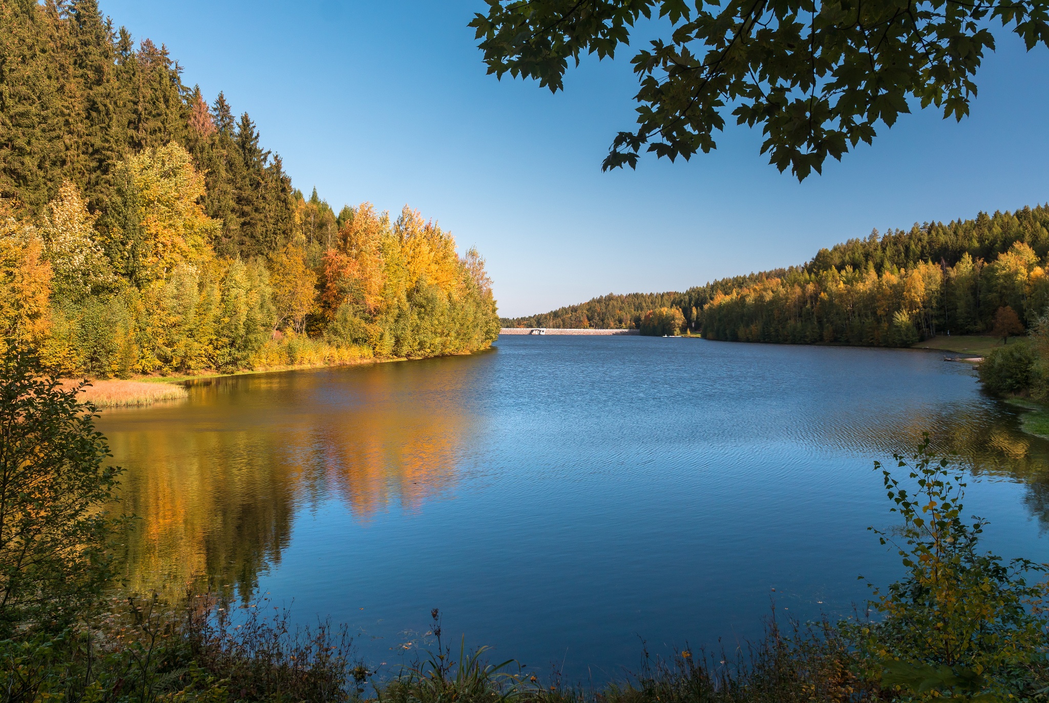 Badestelle und Liegewiese an der Talsperre Falkenstein – Motiv