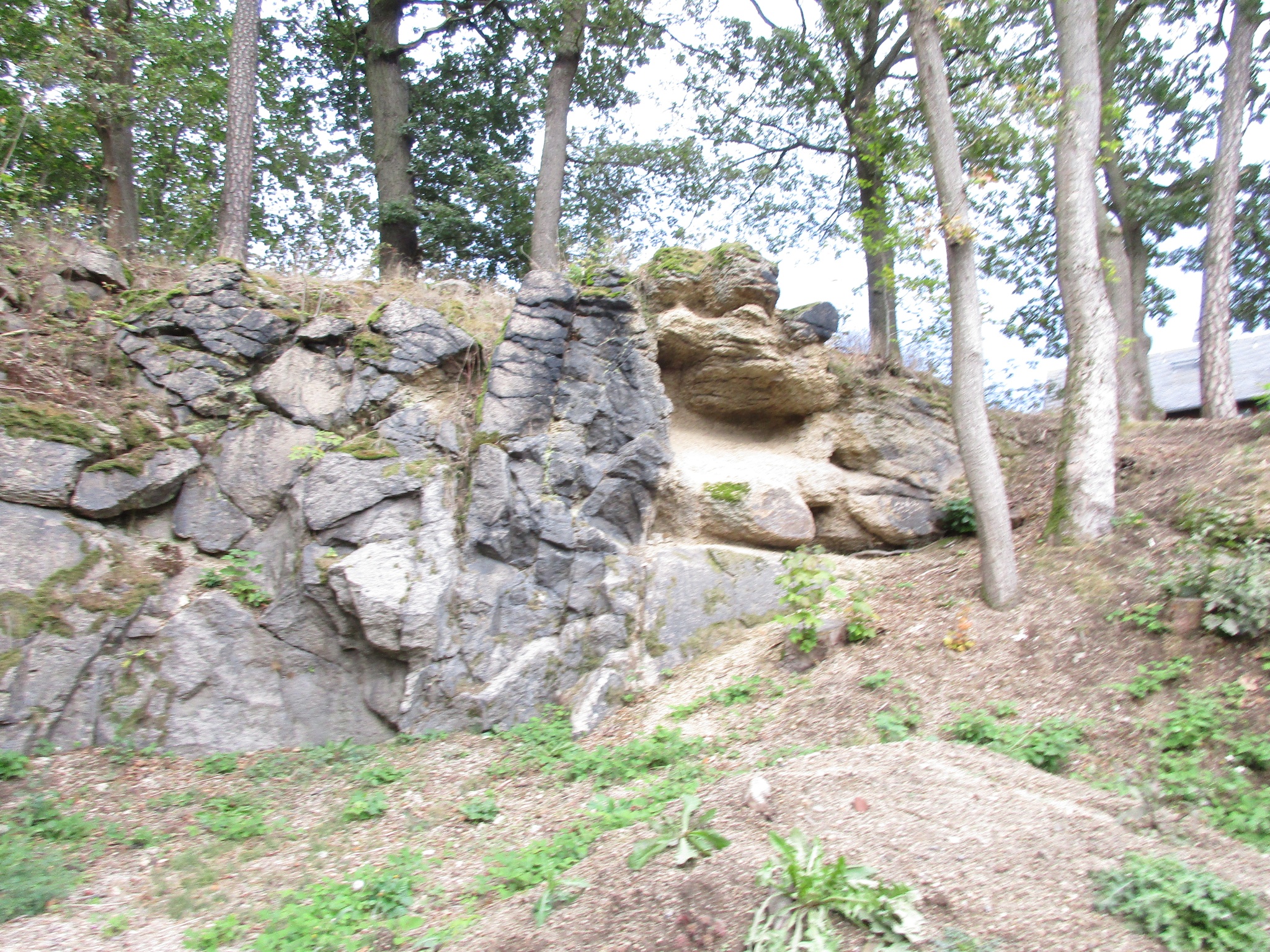 Roter Bühl Bergen – Motiv